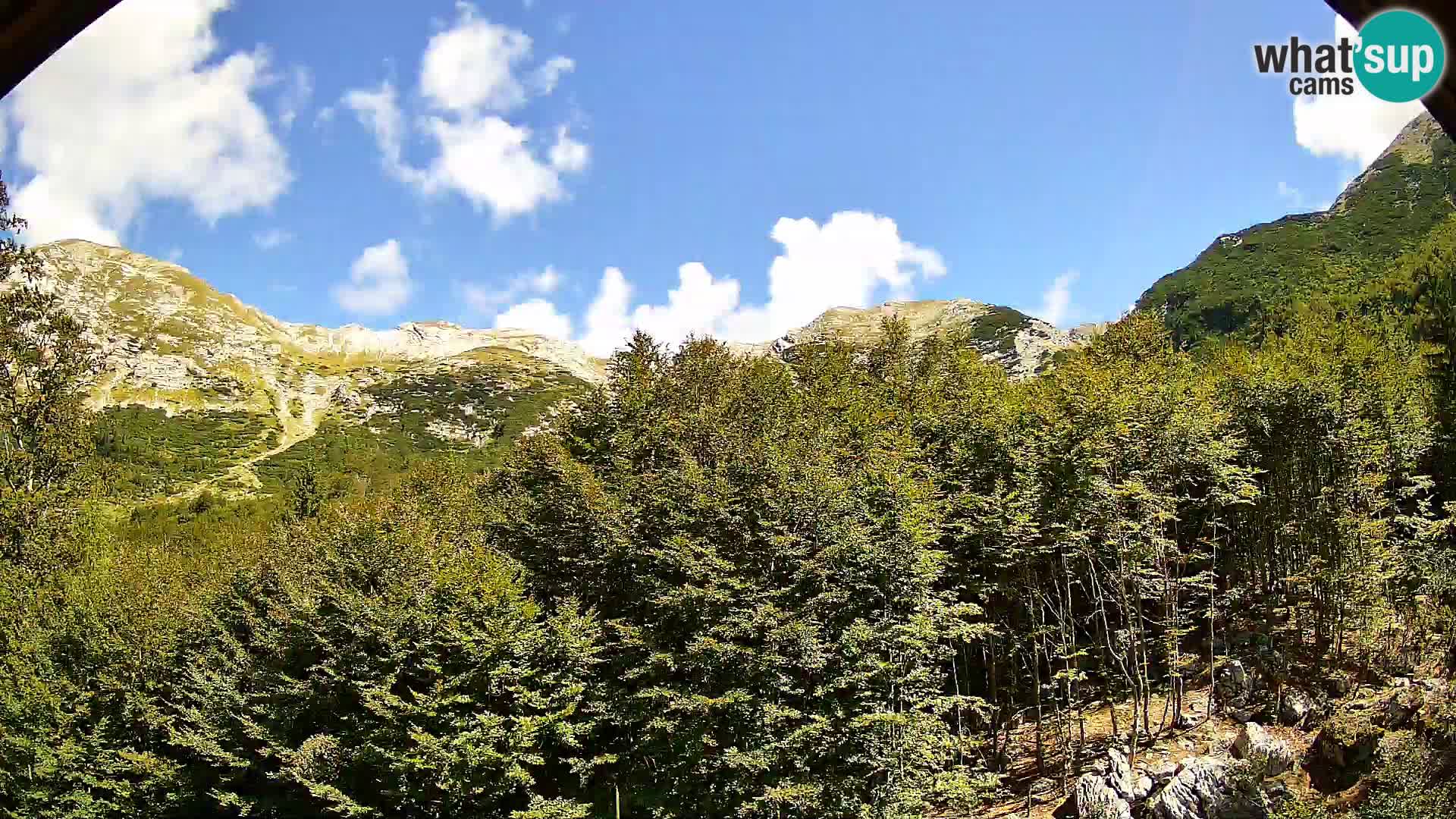 PLANINA RAZOR webcam (1315) | view to Vogel and Globoko