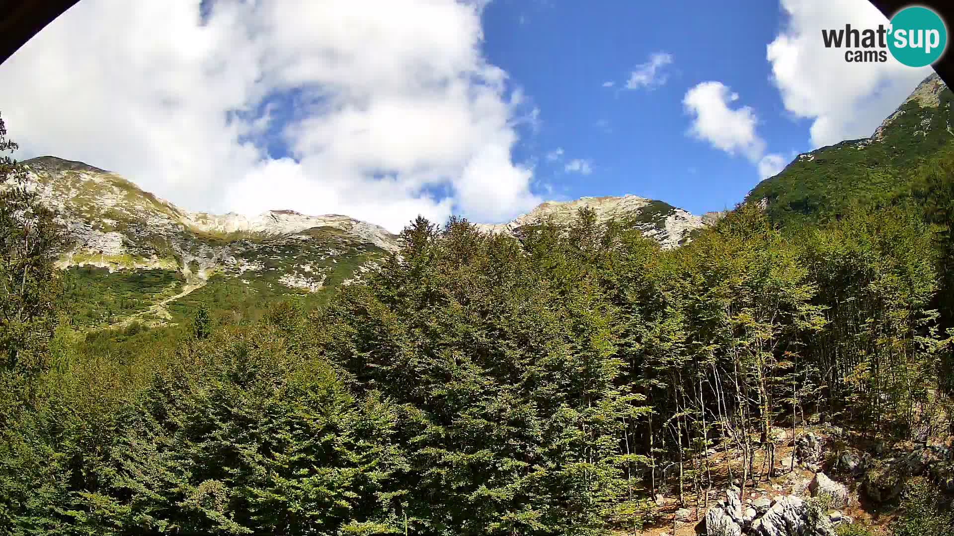 PLANINA RAZOR webcam (1315) | view to Vogel and Globoko