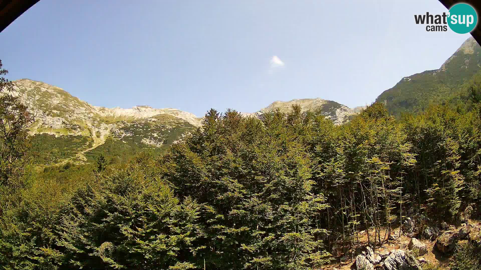 PLANINA RAZOR web kamera (1315) | pogled na Vogel i Globoko