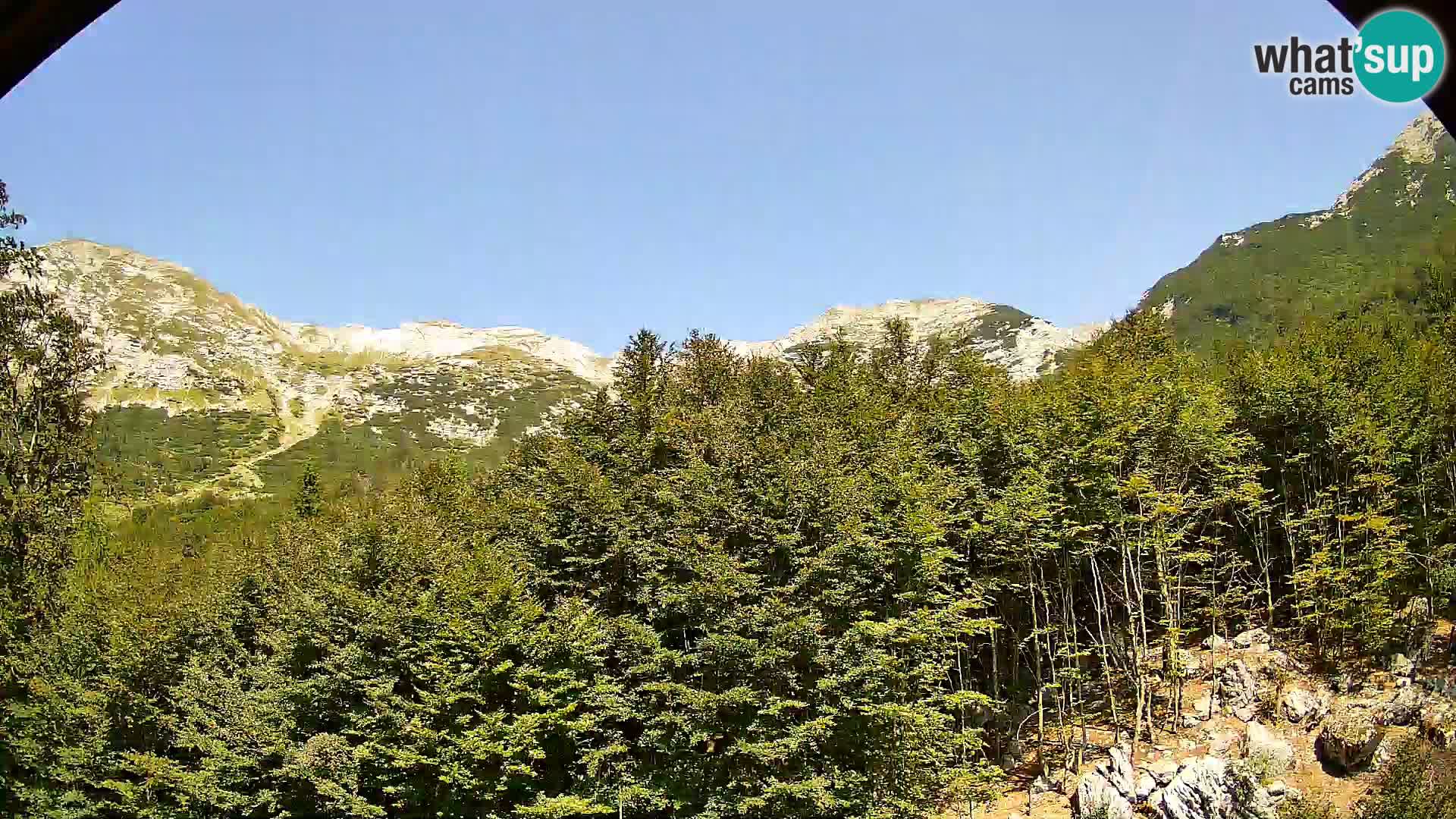 Webcam PLANINA RAZOR (1315) | Blick auf Vogel und Globoko