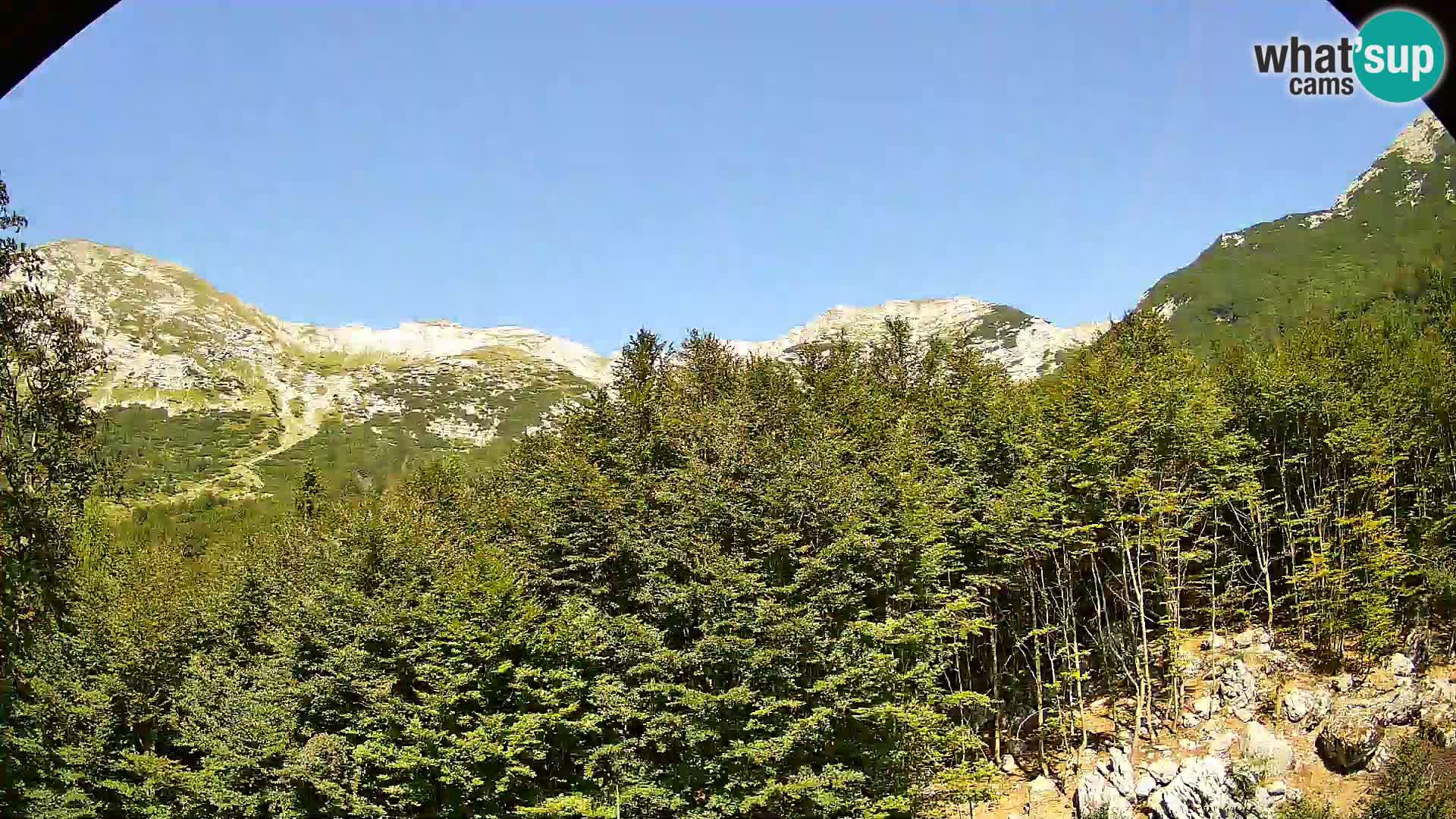 PLANINA RAZOR web kamera (1315) | pogled na Vogel i Globoko