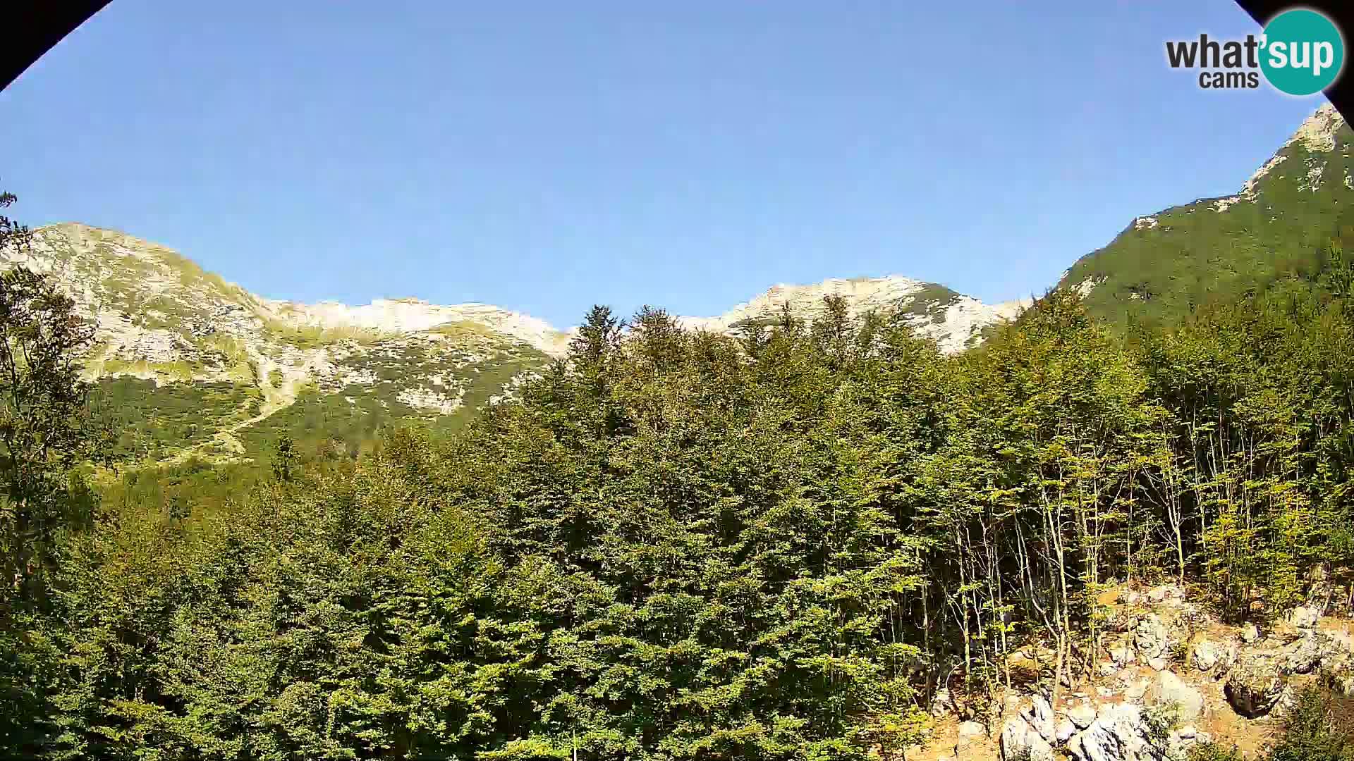 PLANINA RAZOR kamera (1315) | pogled na Vogel in Globoko