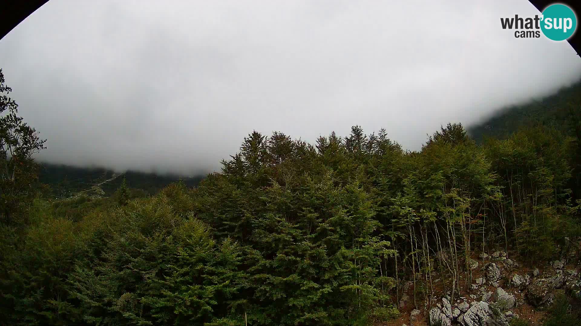 PLANINA RAZOR web kamera (1315) | pogled na Vogel i Globoko