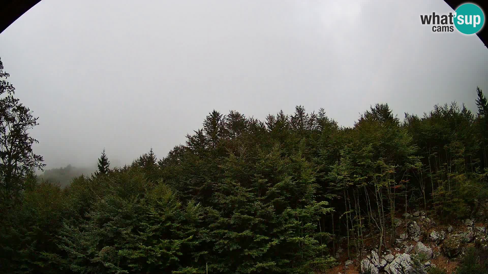 Livecam PLANINA RAZOR (1315) | vue sur Vogel et Globoko