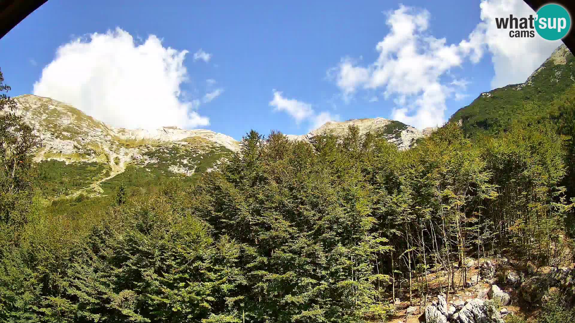 PLANINA RAZOR kamera (1315) | pogled na Vogel in Globoko