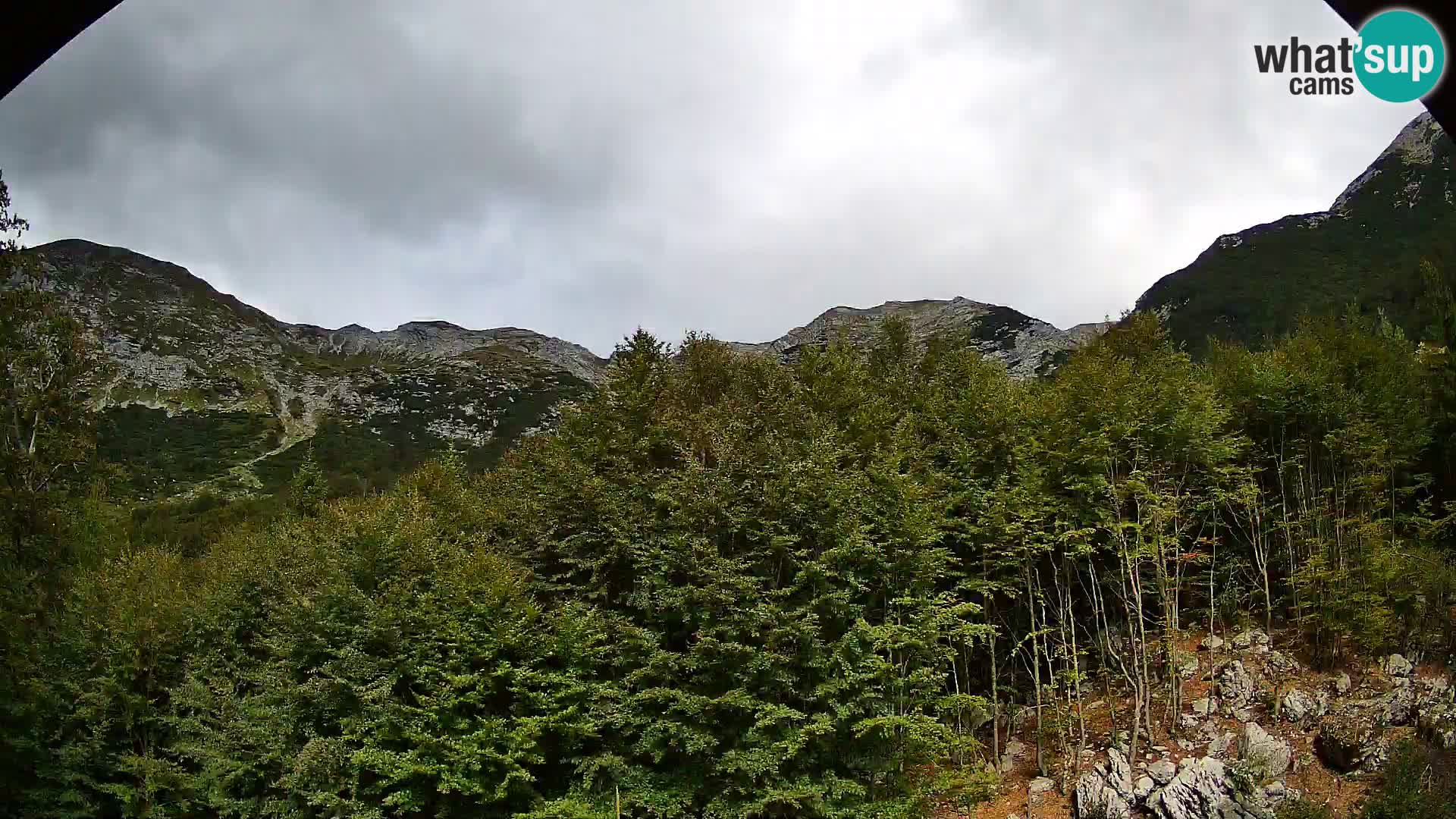PLANINA RAZOR webcam (1315) | view to Vogel and Globoko