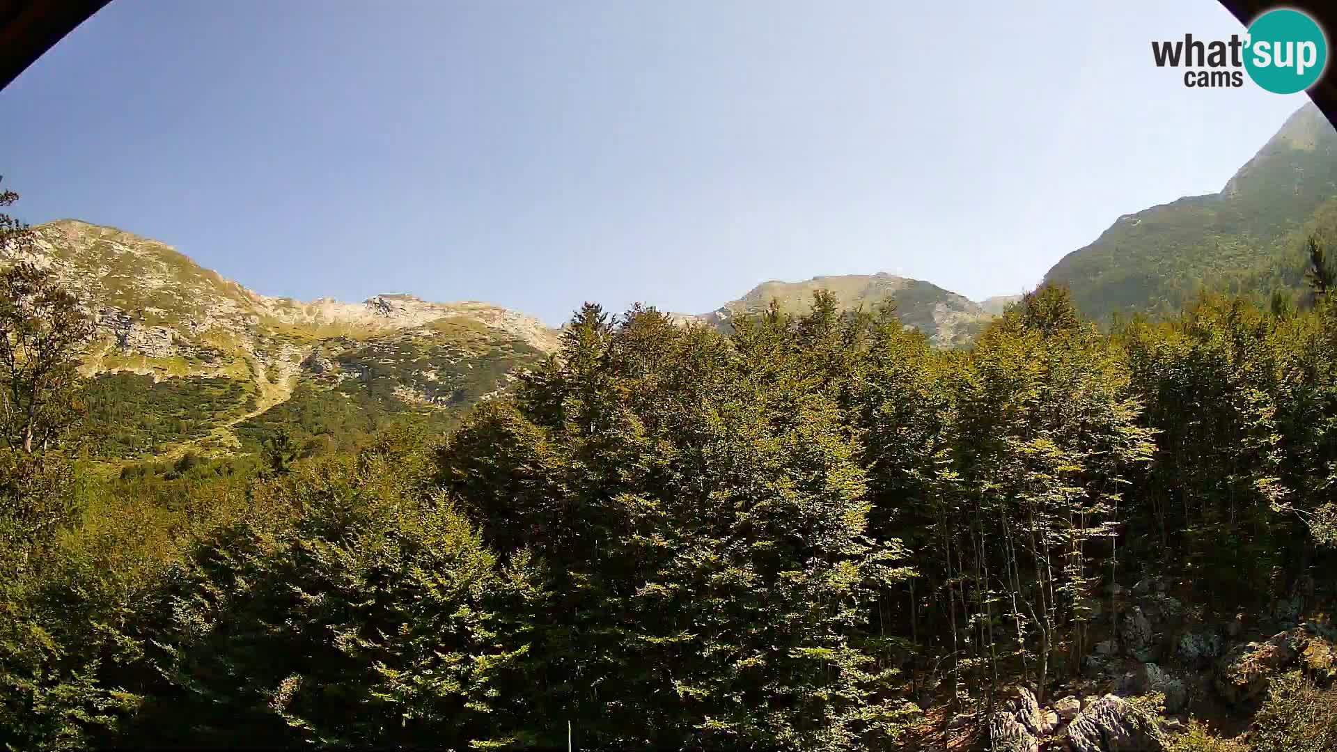 PLANINA RAZOR Live Cam (1315) | vista su Vogel e Globoko