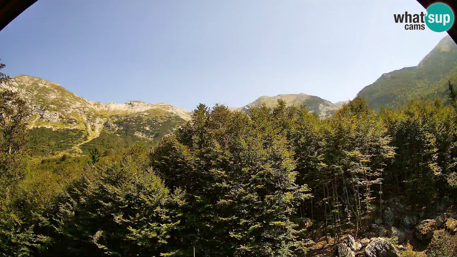 PLANINA RAZOR Live Cam (1315) | vista su Vogel e Globoko
