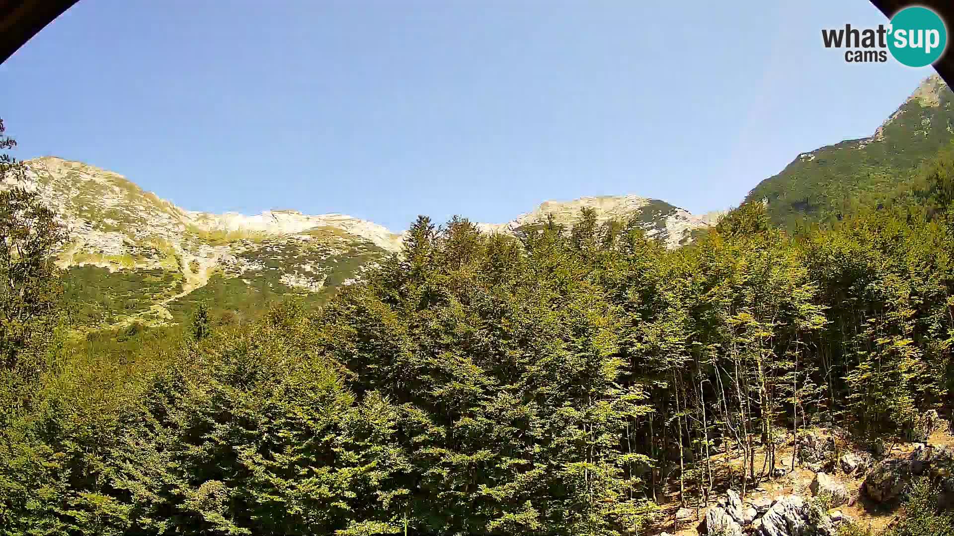 Webcam PLANINA RAZOR (1315) | Blick auf Vogel und Globoko