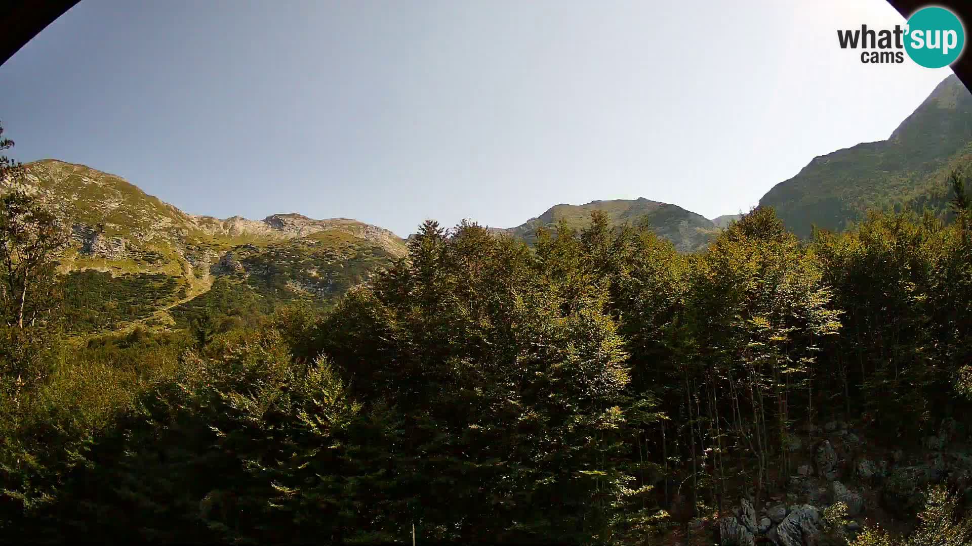 Webcam PLANINA RAZOR (1315) | Blick auf Vogel und Globoko