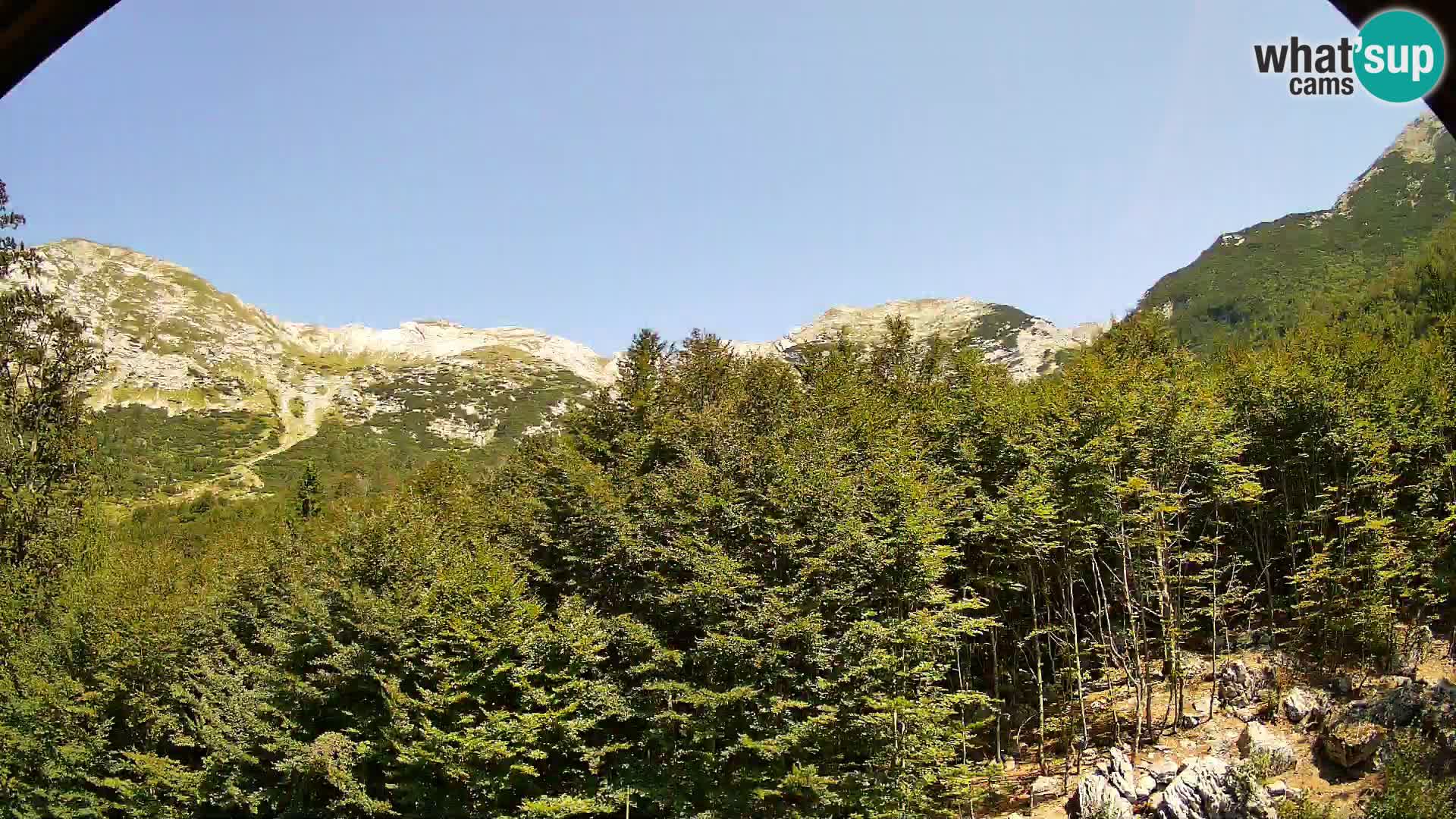 Livecam PLANINA RAZOR (1315) | vue sur Vogel et Globoko