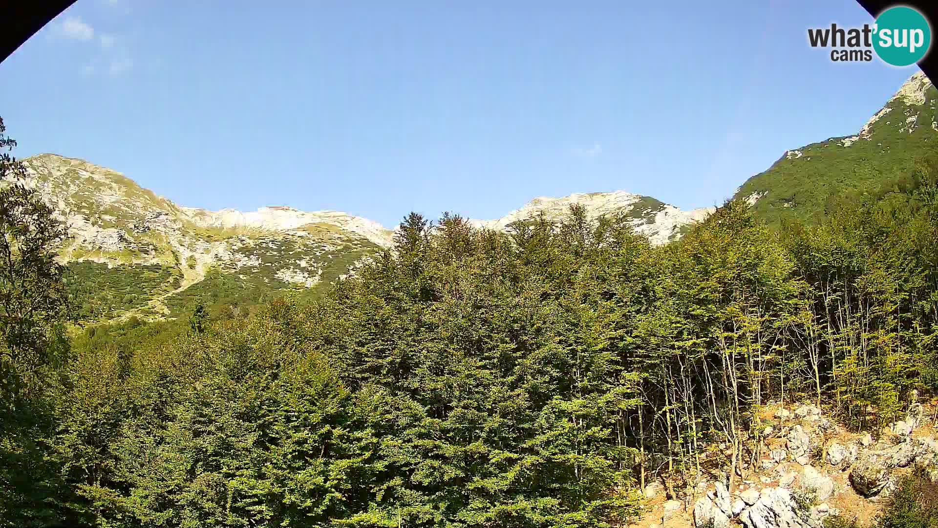 Livecam PLANINA RAZOR (1315) | vue sur Vogel et Globoko