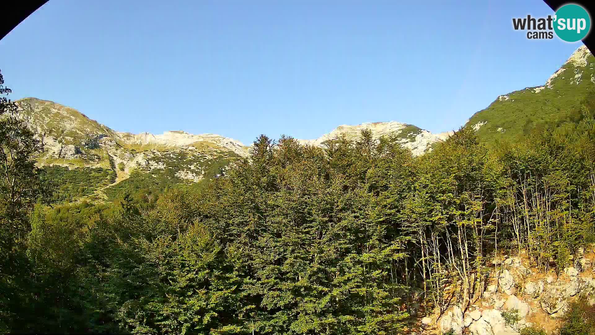 Livecam PLANINA RAZOR (1315) | vue sur Vogel et Globoko