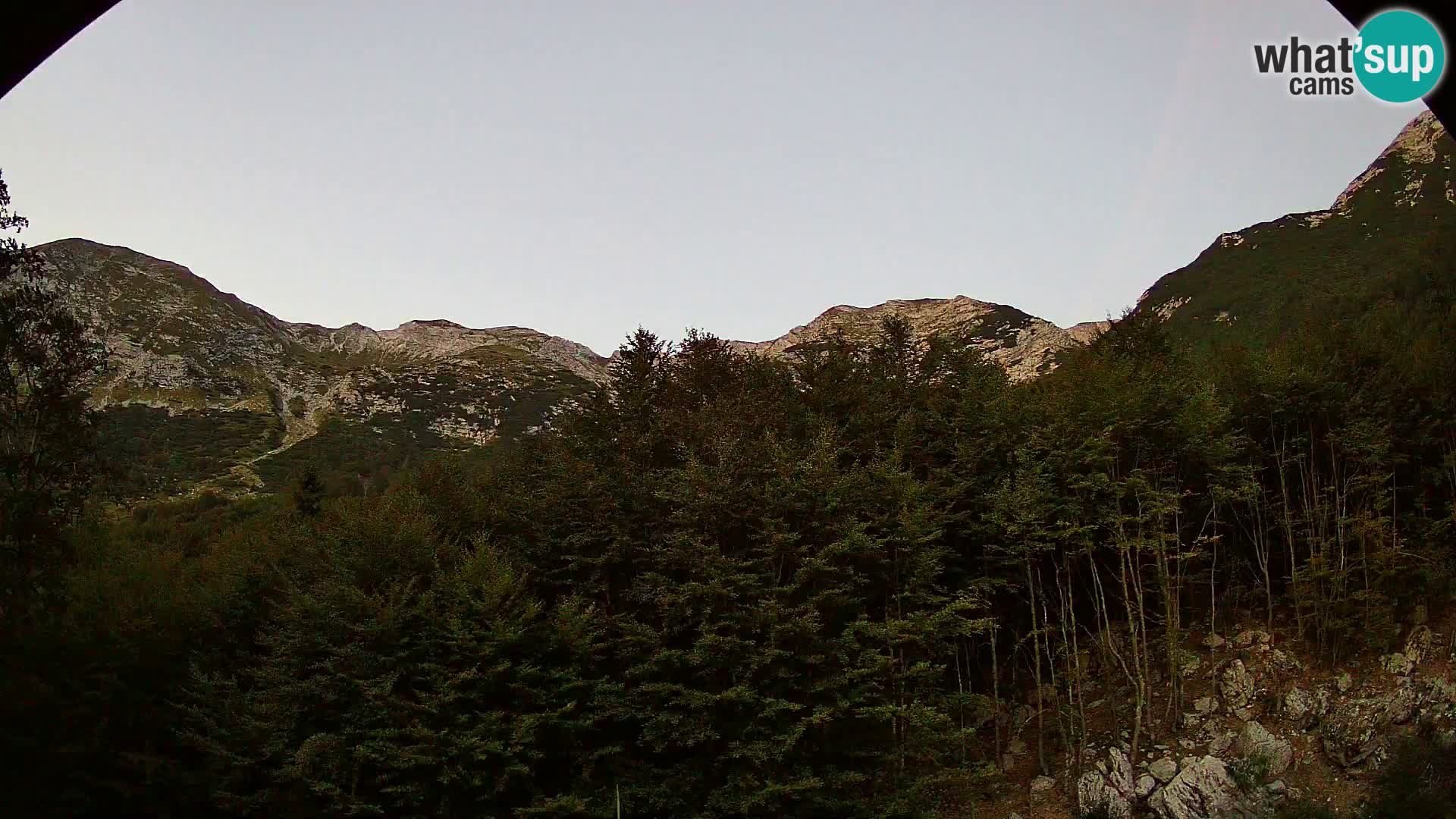 Livecam PLANINA RAZOR (1315) | vue sur Vogel et Globoko