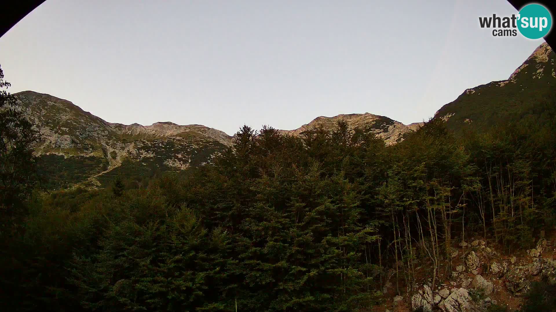 Livecam PLANINA RAZOR (1315) | vue sur Vogel et Globoko