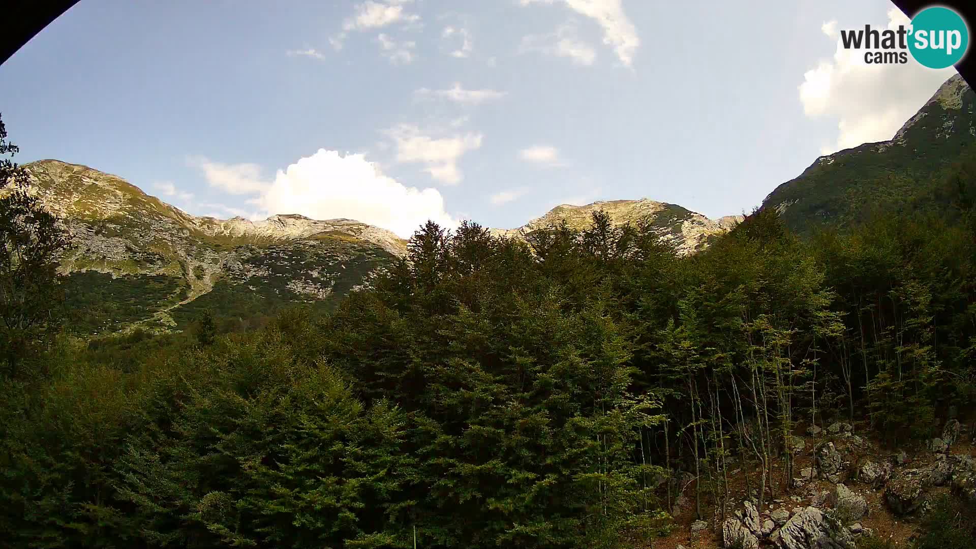 Webcam PLANINA RAZOR (1315) | Blick auf Vogel und Globoko