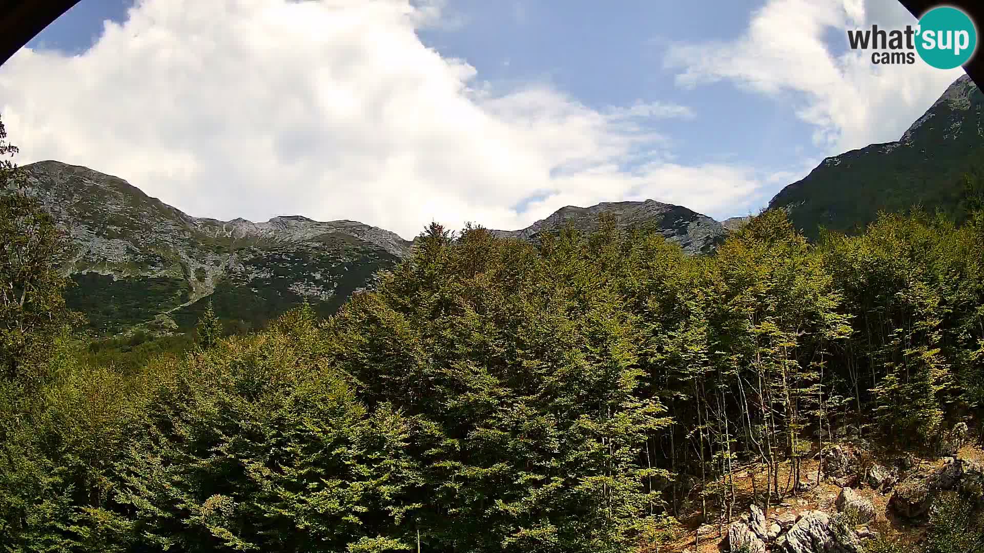 PLANINA RAZOR Live Cam (1315) | vista su Vogel e Globoko