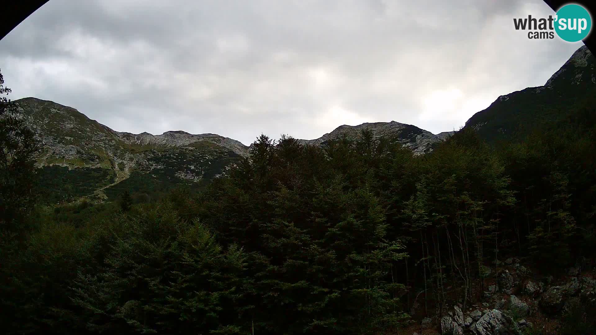 Livecam PLANINA RAZOR (1315) | vue sur Vogel et Globoko