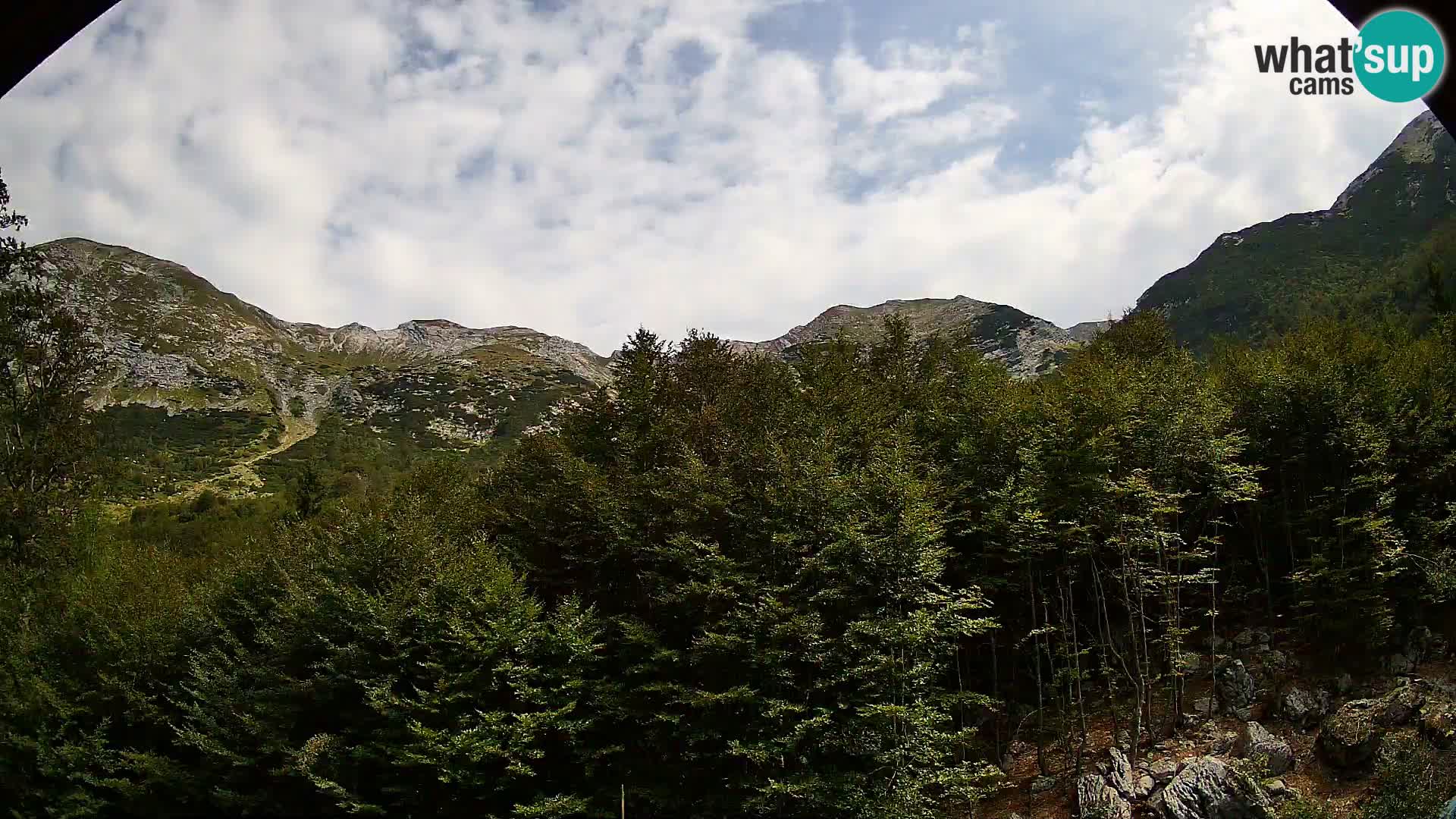 Livecam PLANINA RAZOR (1315) | vue sur Vogel et Globoko
