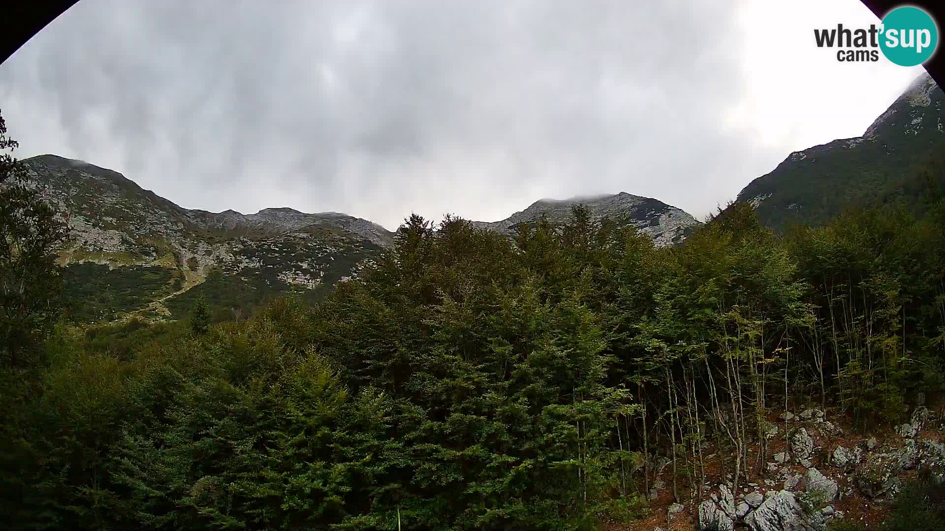 PLANINA RAZOR web kamera (1315) | pogled na Vogel i Globoko