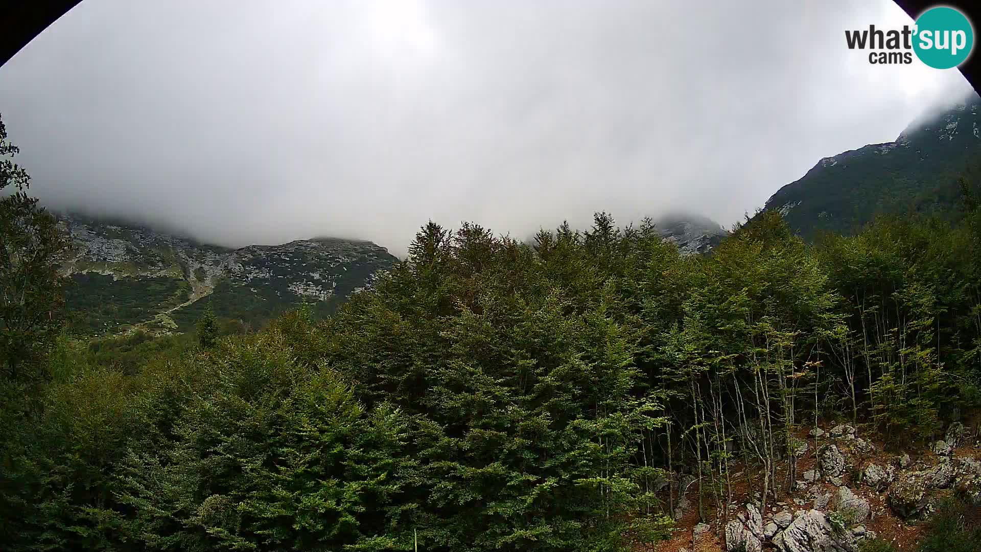 Cámara web PLANINA RAZOR (1315) | vista a Vogel y Globoko