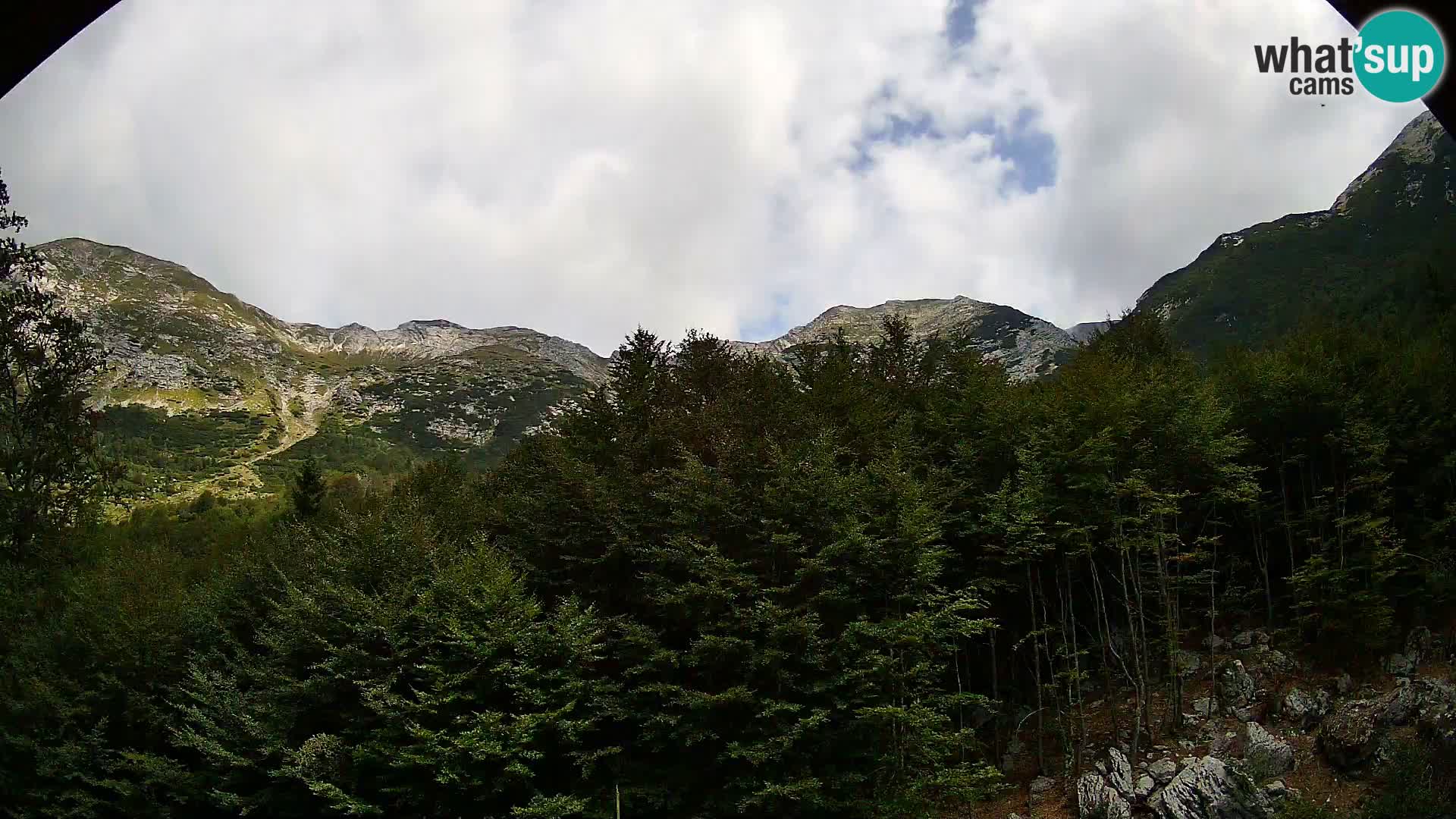 Webcam PLANINA RAZOR (1315) | Blick auf Vogel und Globoko