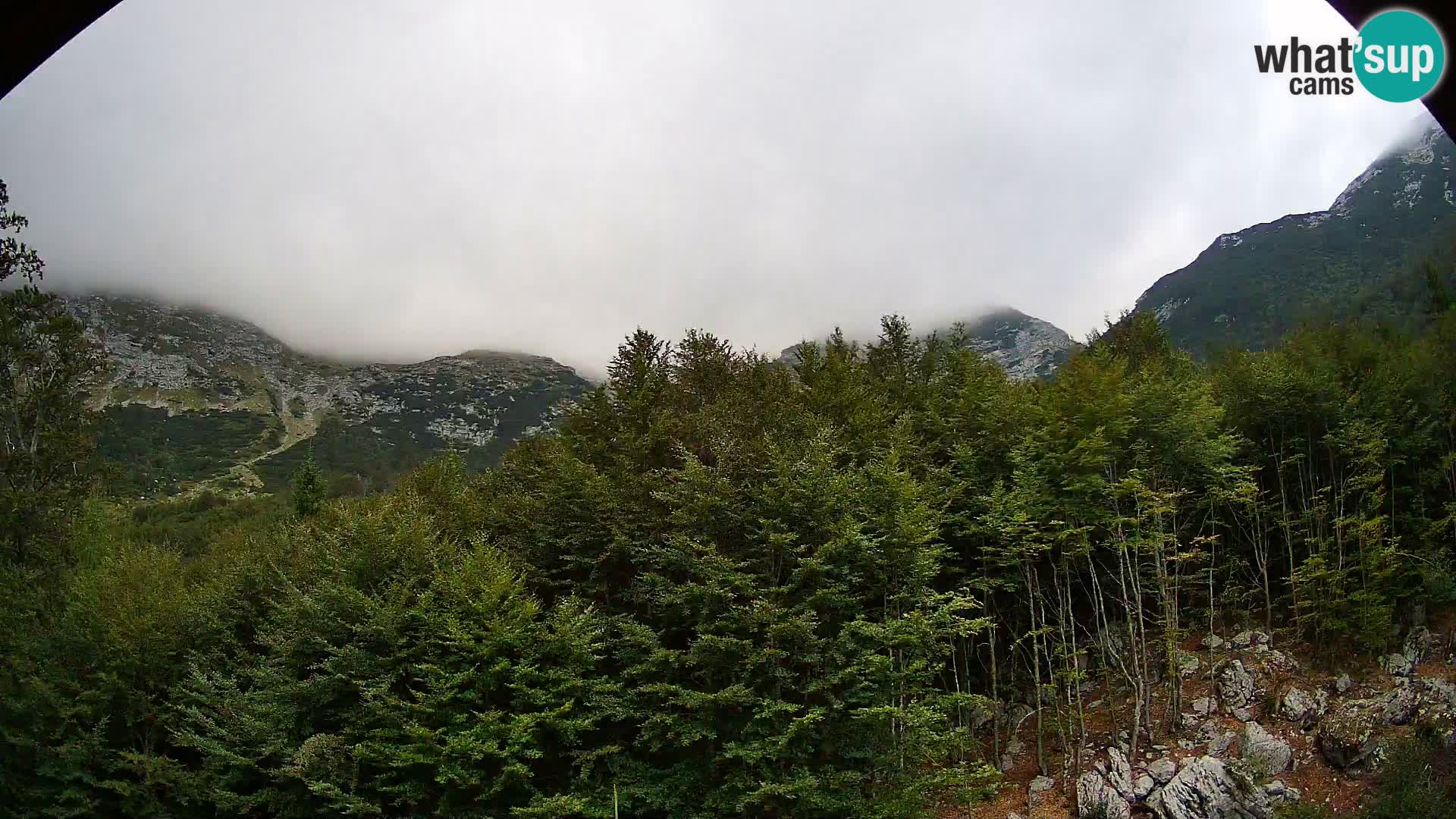 PLANINA RAZOR web kamera (1315) | pogled na Vogel i Globoko