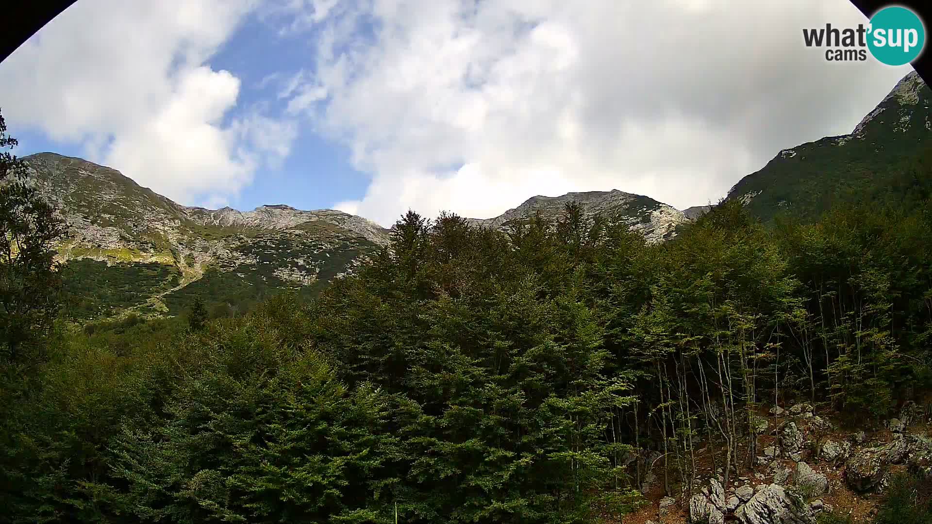Webcam PLANINA RAZOR (1315) | Blick auf Vogel und Globoko