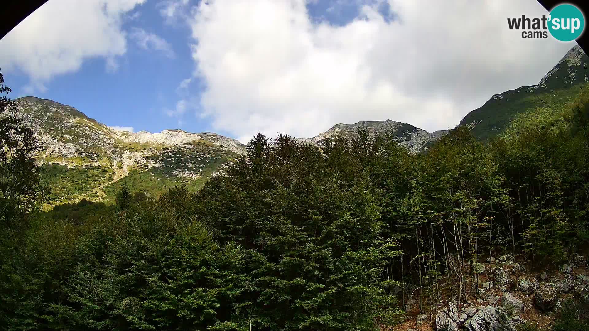PLANINA RAZOR Live Cam (1315) | vista su Vogel e Globoko
