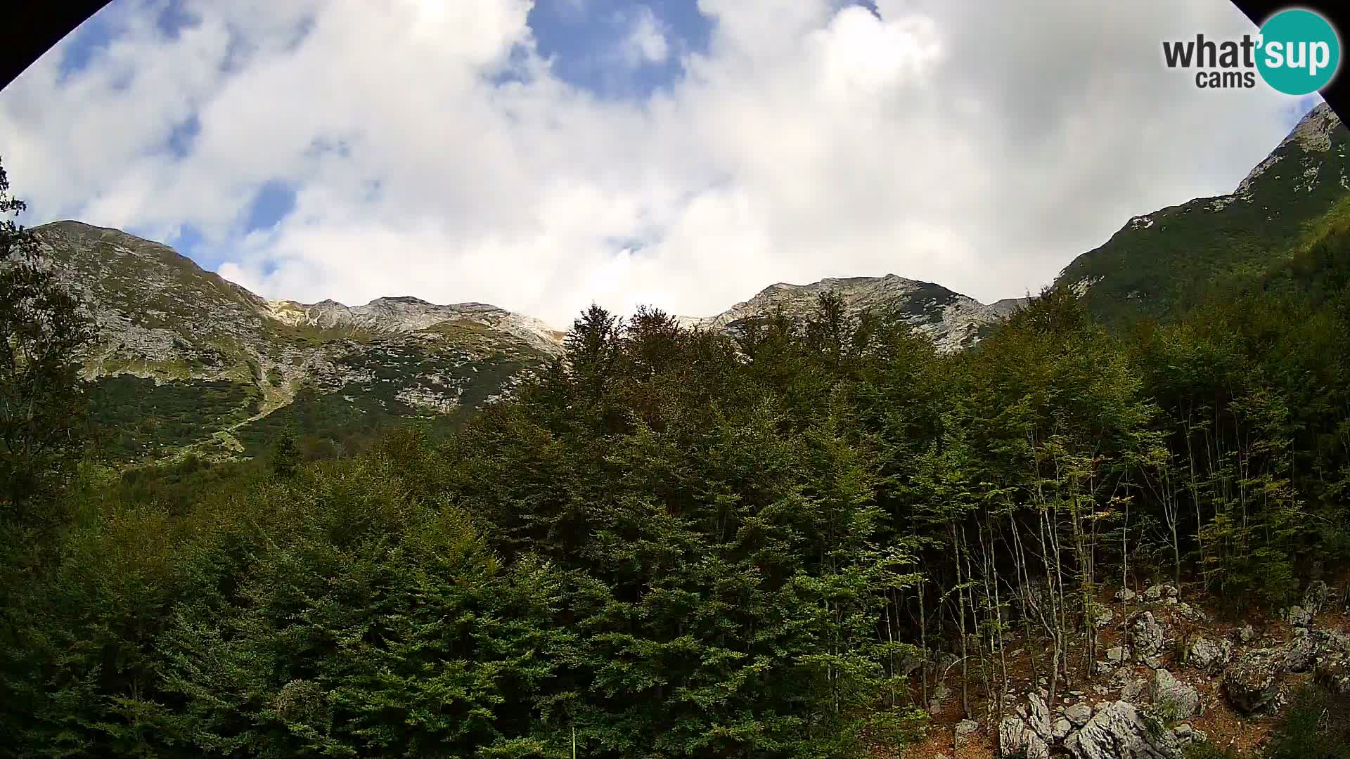 PLANINA RAZOR Live Cam (1315) | vista su Vogel e Globoko