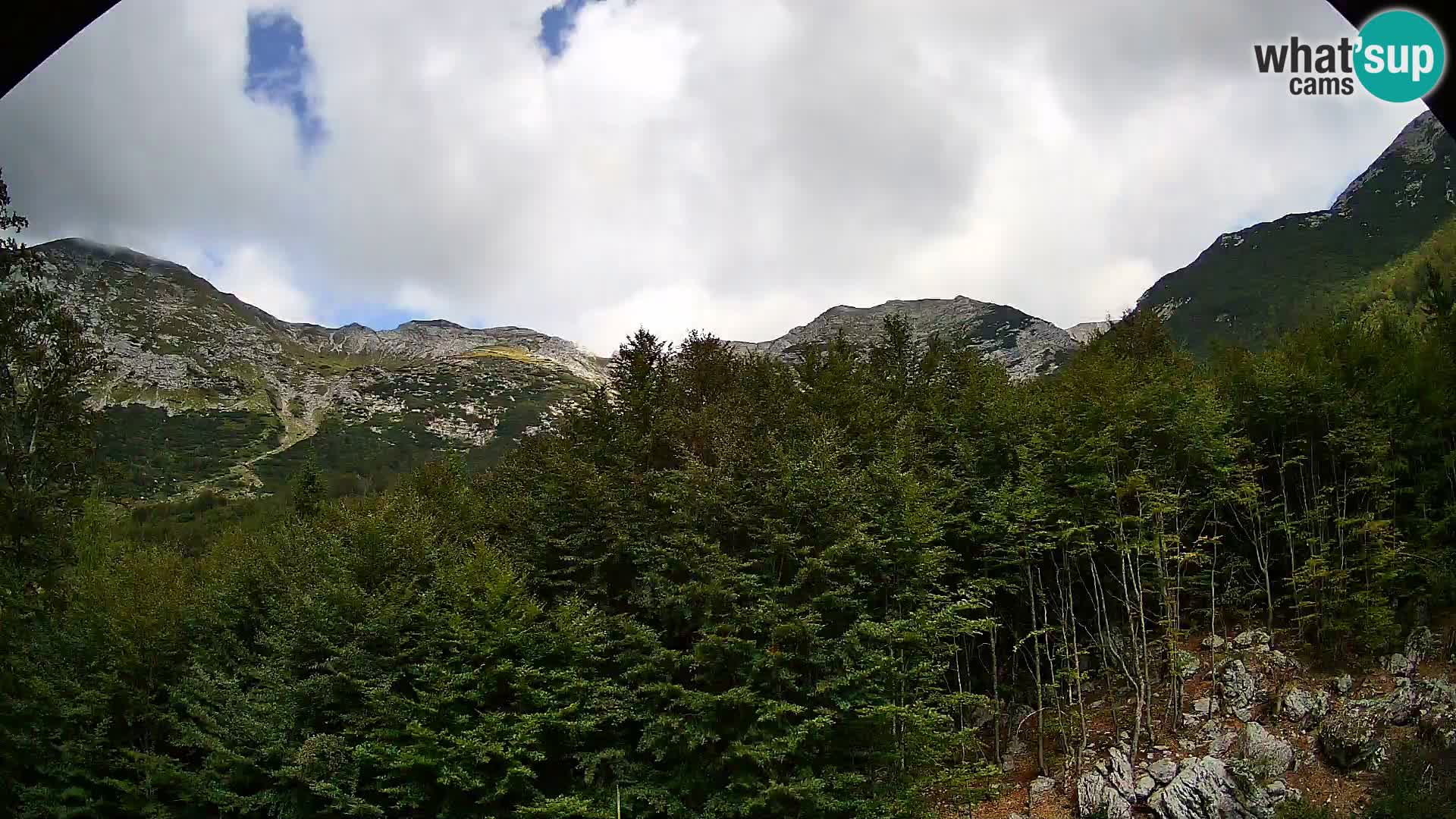 PLANINA RAZOR kamera (1315) | pogled na Vogel in Globoko