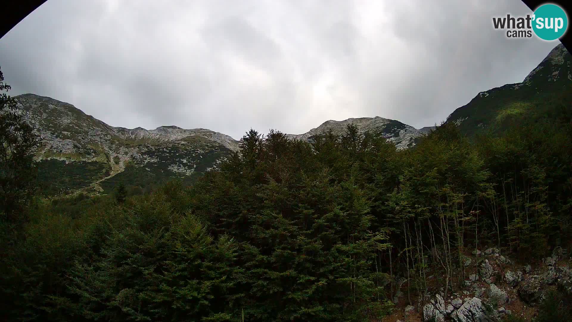 PLANINA RAZOR Live Cam (1315) | vista su Vogel e Globoko