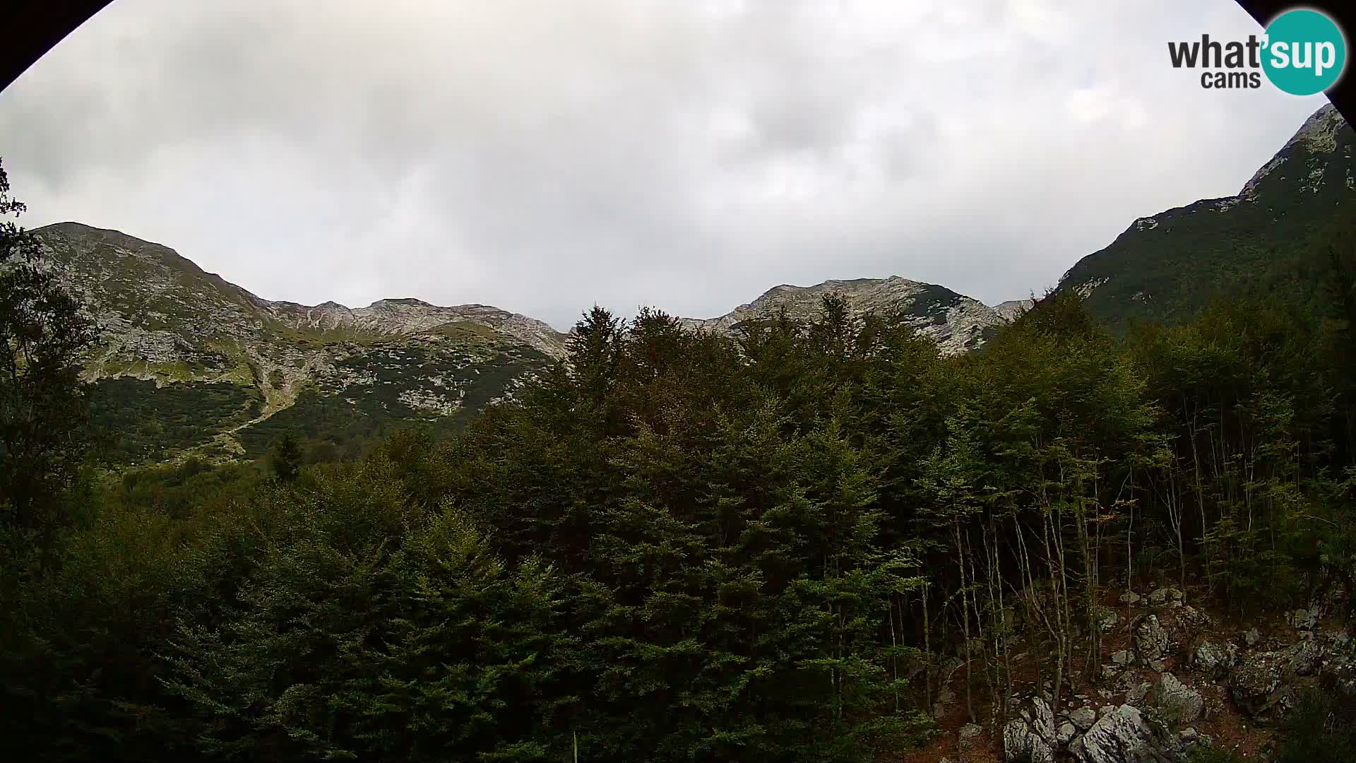 Livecam PLANINA RAZOR (1315) | vue sur Vogel et Globoko