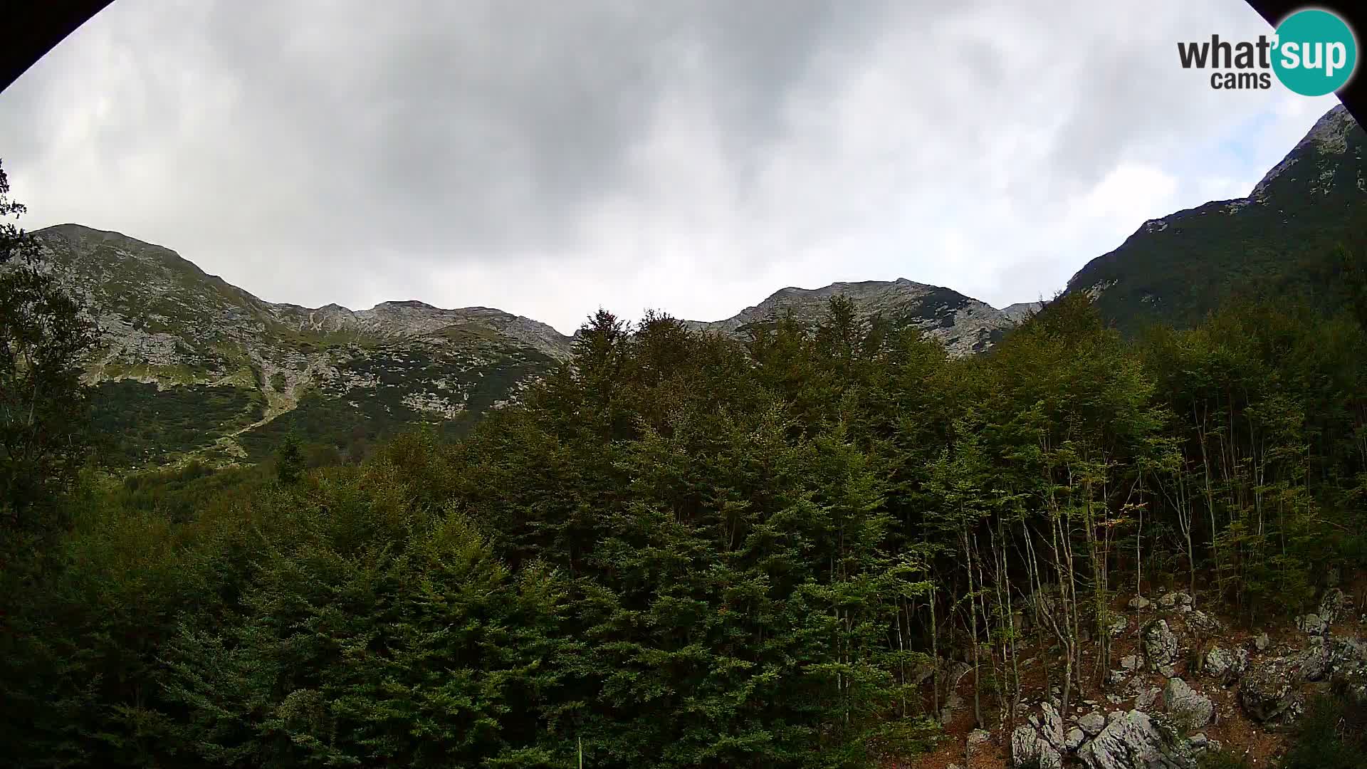 Cámara web PLANINA RAZOR (1315) | vista a Vogel y Globoko