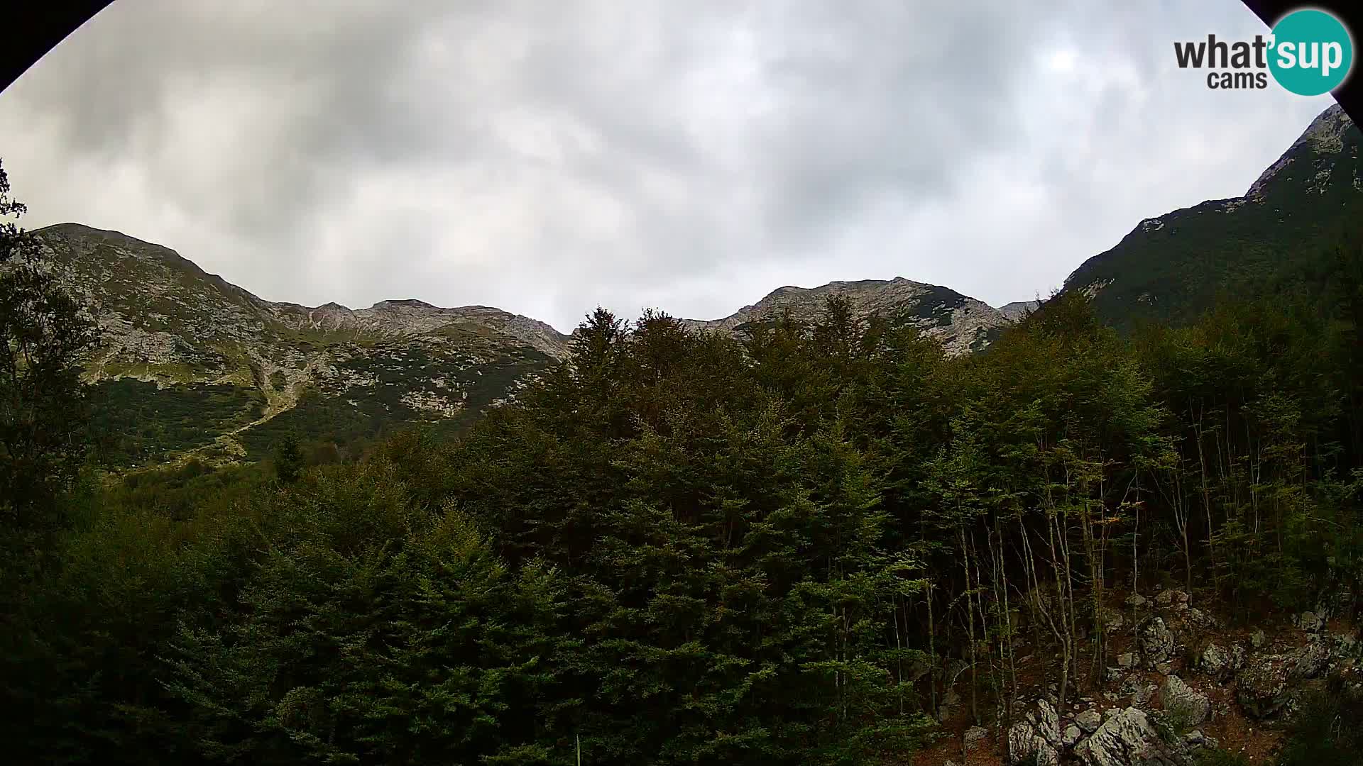 PLANINA RAZOR web kamera (1315) | pogled na Vogel i Globoko