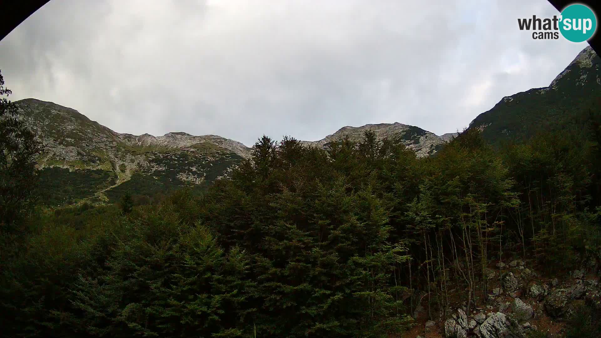 Livecam PLANINA RAZOR (1315) | vue sur Vogel et Globoko