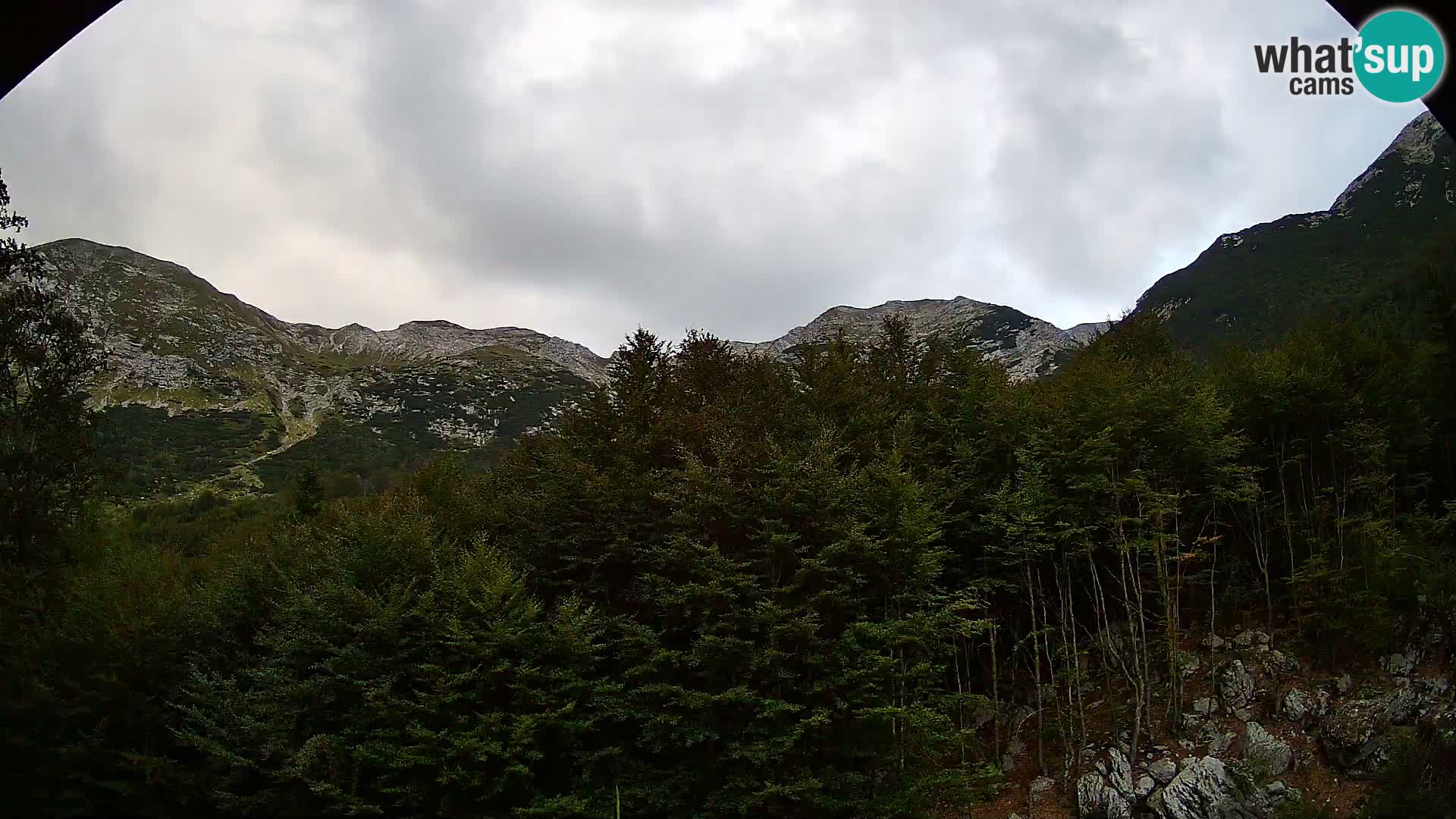 Cámara web PLANINA RAZOR (1315) | vista a Vogel y Globoko
