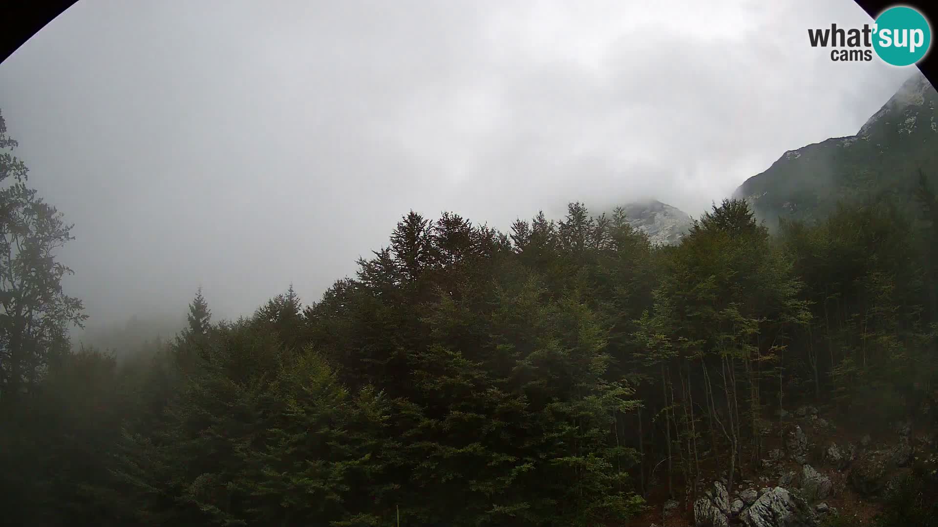 Livecam PLANINA RAZOR (1315) | vue sur Vogel et Globoko