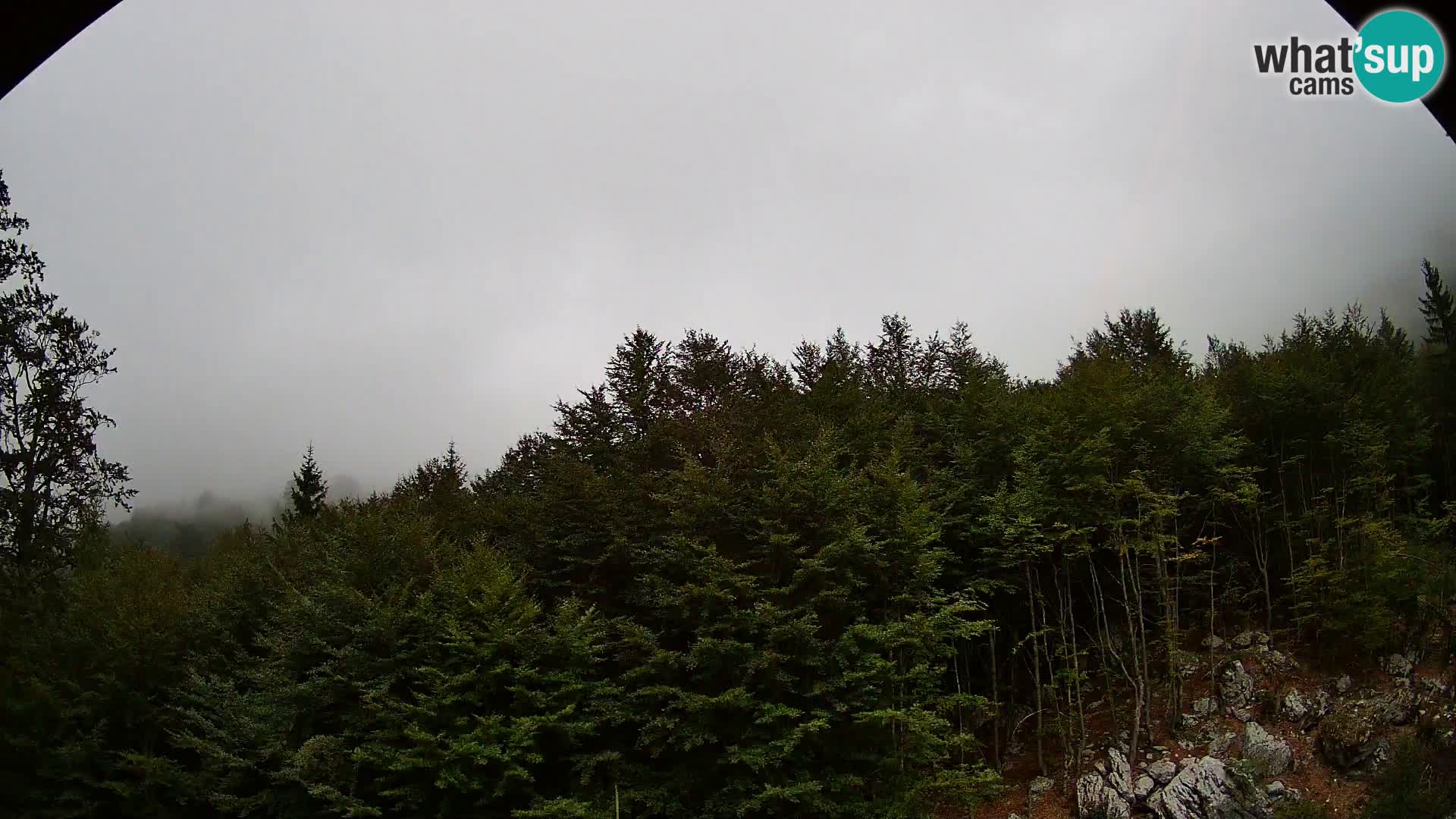 PLANINA RAZOR Live Cam (1315) | vista su Vogel e Globoko