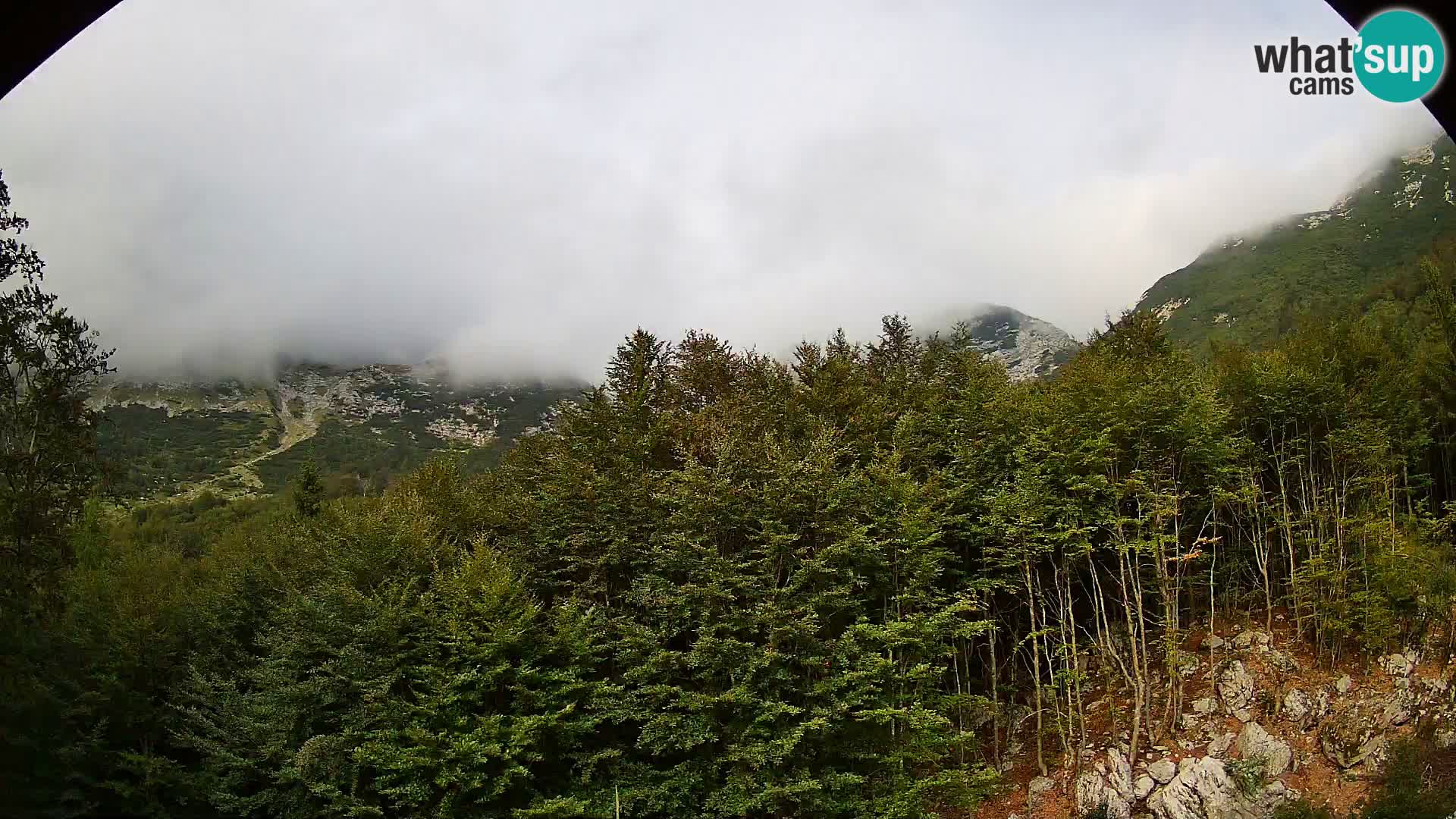 PLANINA RAZOR webcam (1315) | view to Vogel and Globoko