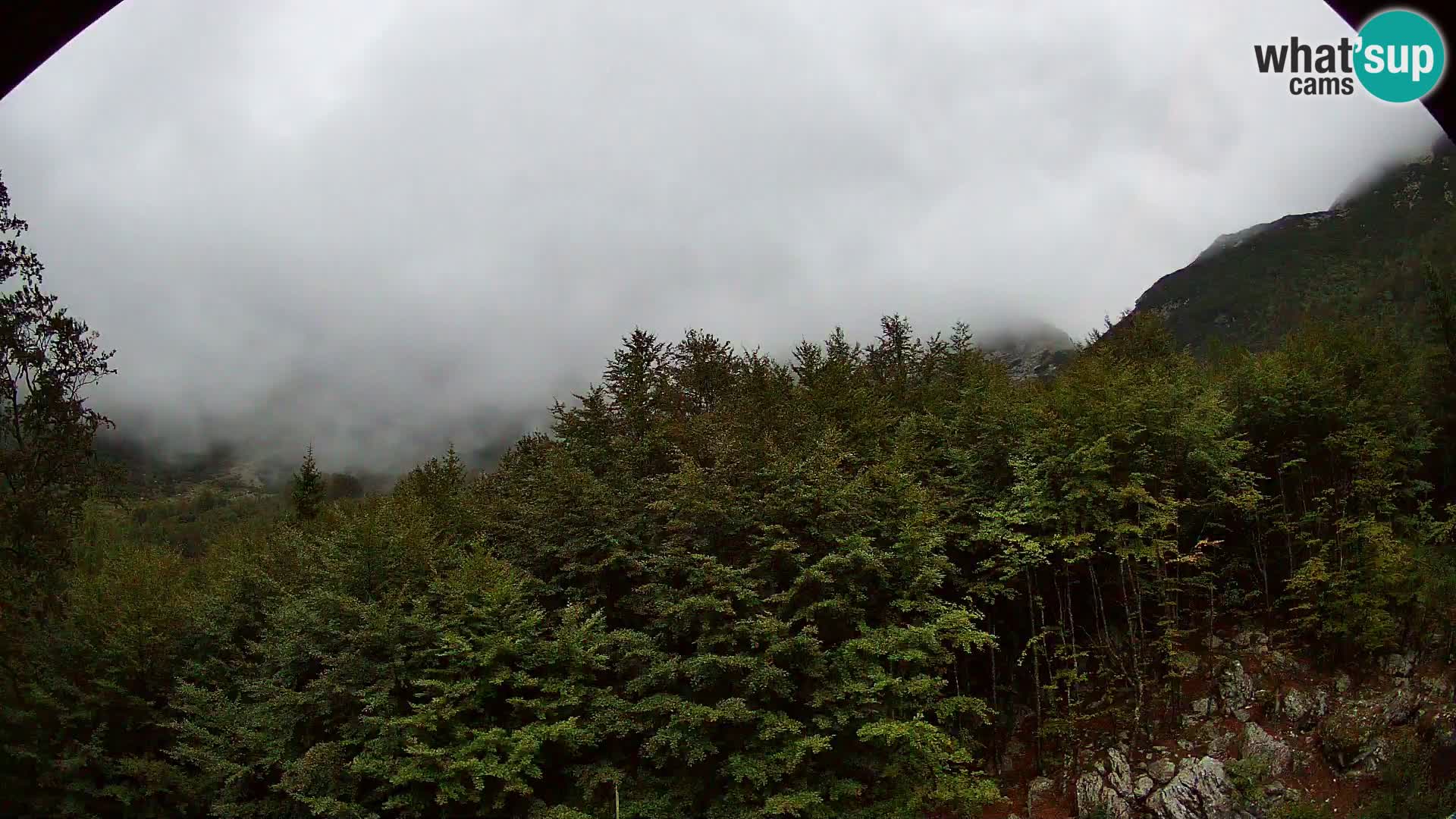 Webcam PLANINA RAZOR (1315) | Blick auf Vogel und Globoko
