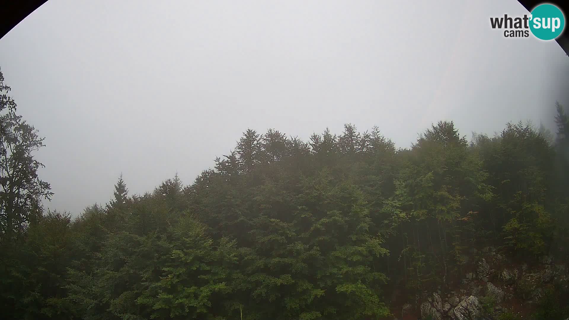 PLANINA RAZOR web kamera (1315) | pogled na Vogel i Globoko