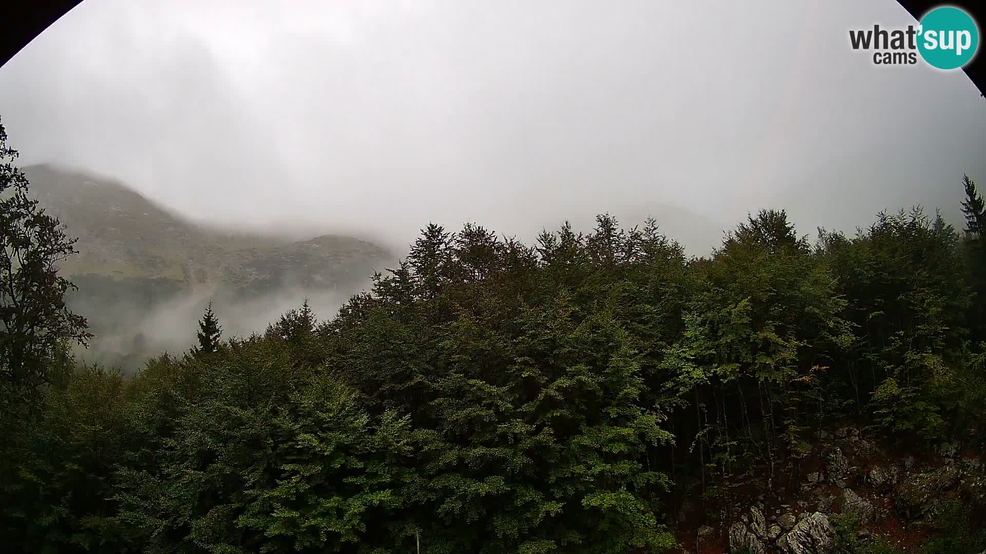 PLANINA RAZOR kamera (1315) | pogled na Vogel in Globoko
