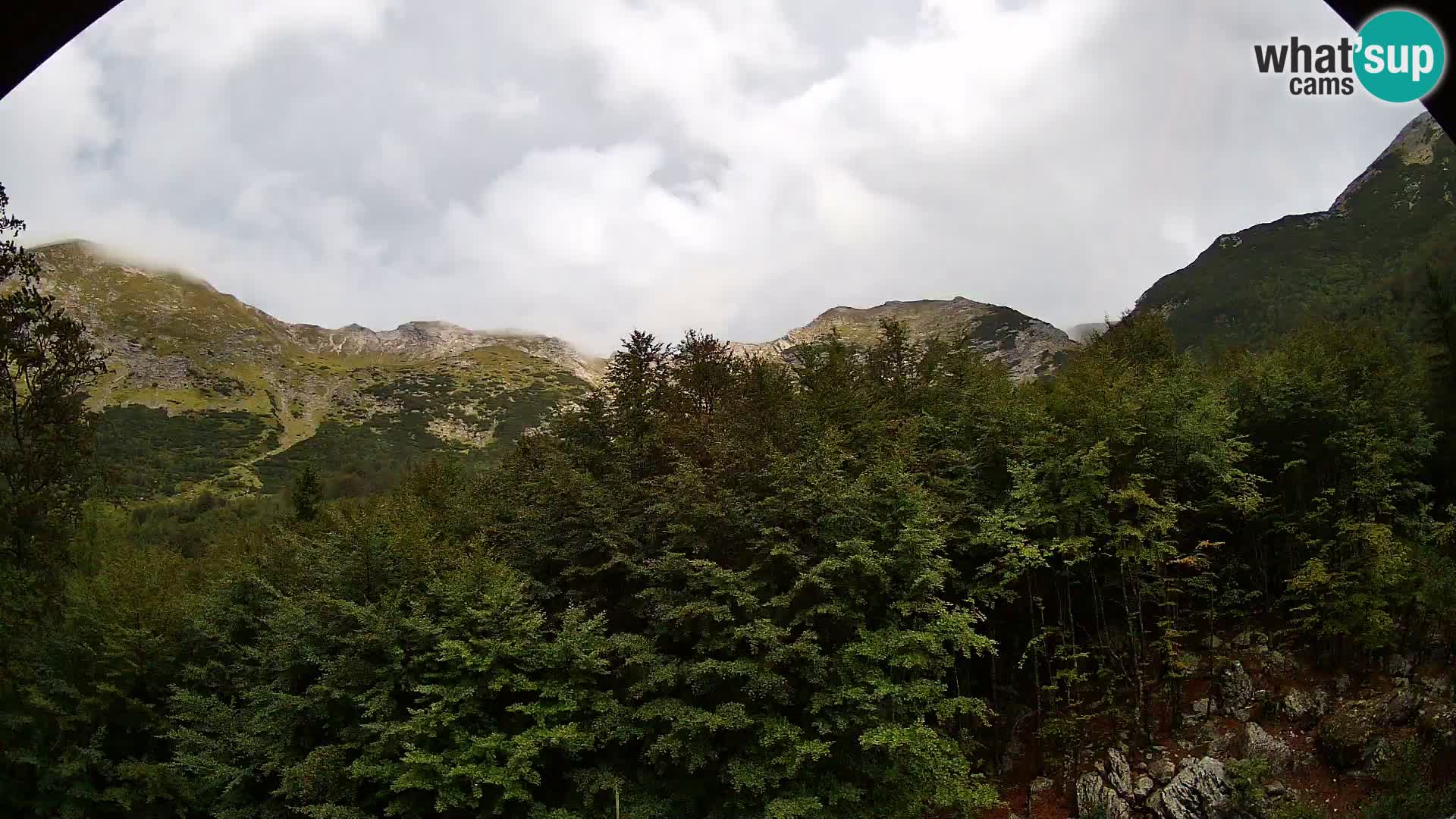 Webcam PLANINA RAZOR (1315) | Blick auf Vogel und Globoko