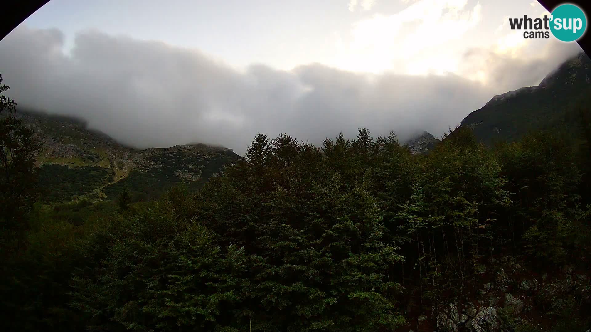 Livecam PLANINA RAZOR (1315) | vue sur Vogel et Globoko