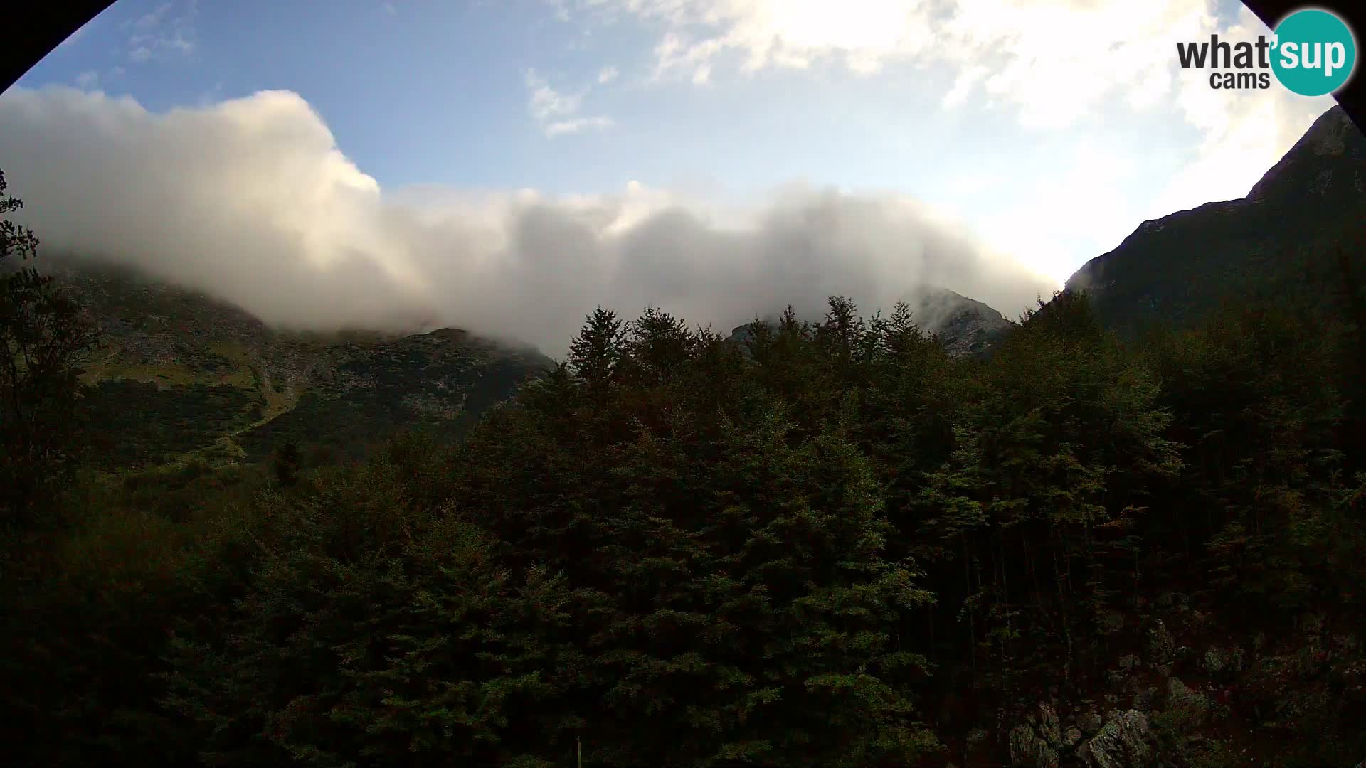Livecam PLANINA RAZOR (1315) | vue sur Vogel et Globoko