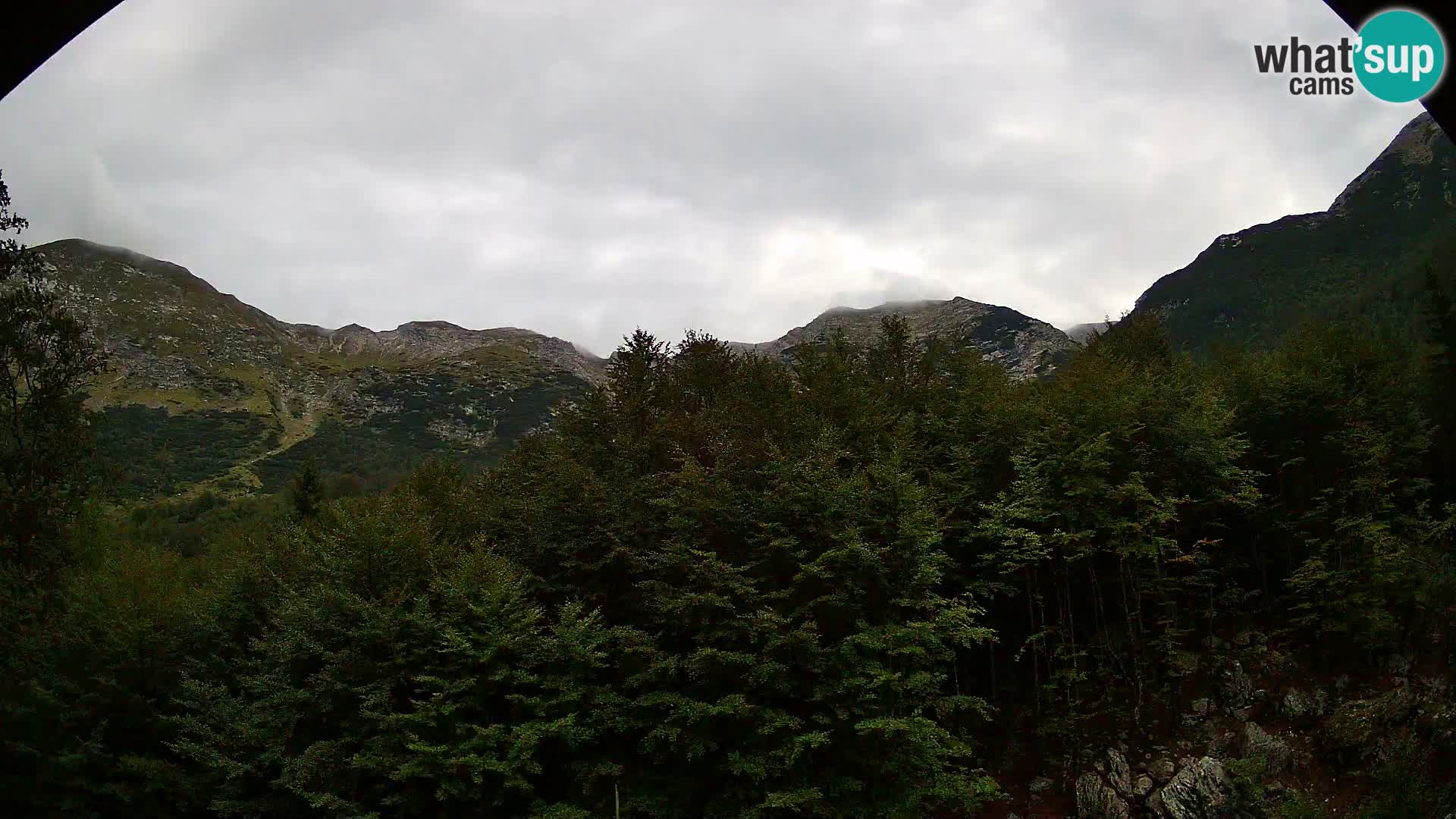 Webcam PLANINA RAZOR (1315) | Blick auf Vogel und Globoko