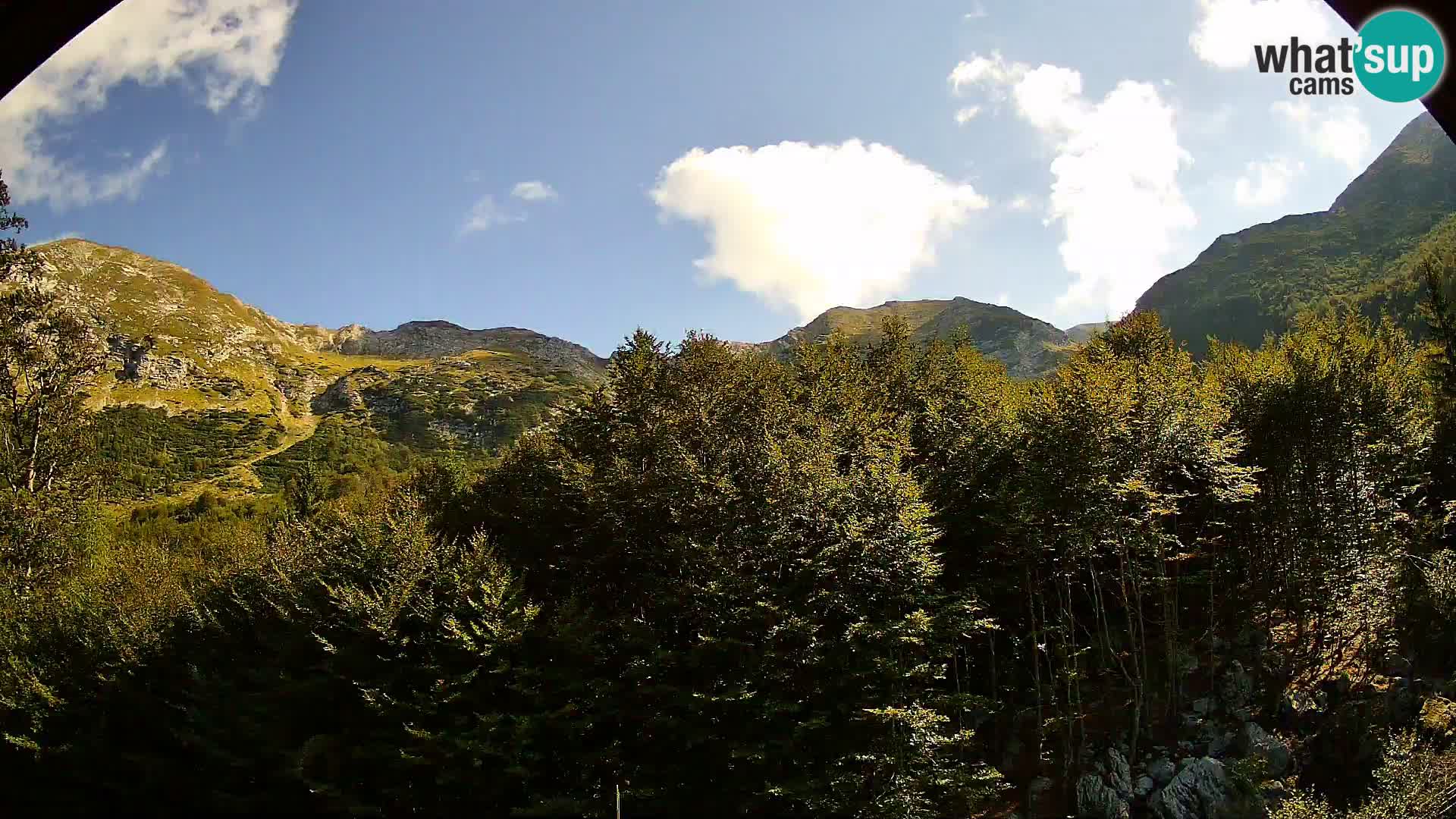 PLANINA RAZOR webcam (1315) | view to Vogel and Globoko