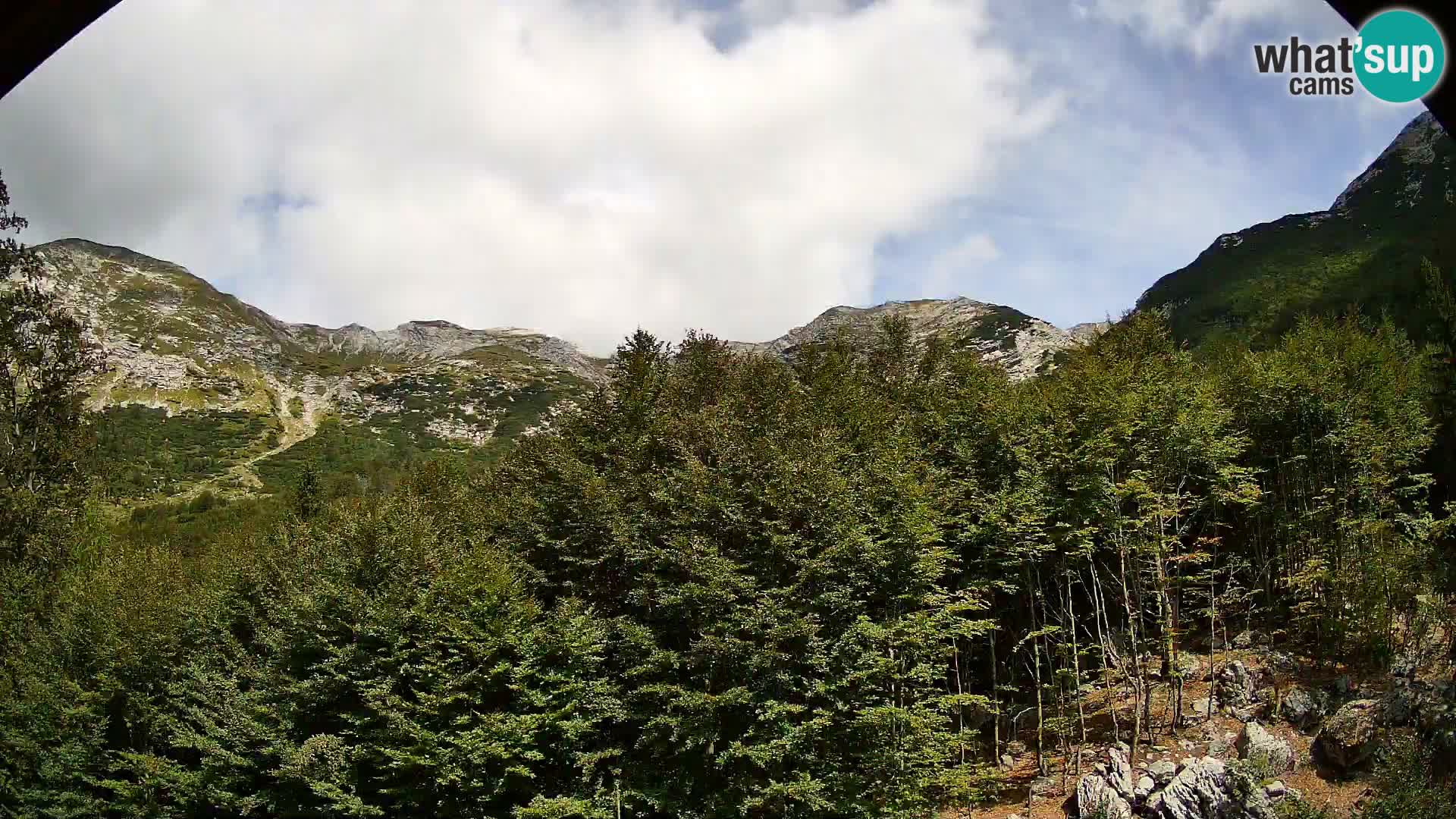 PLANINA RAZOR Live Cam (1315) | vista su Vogel e Globoko