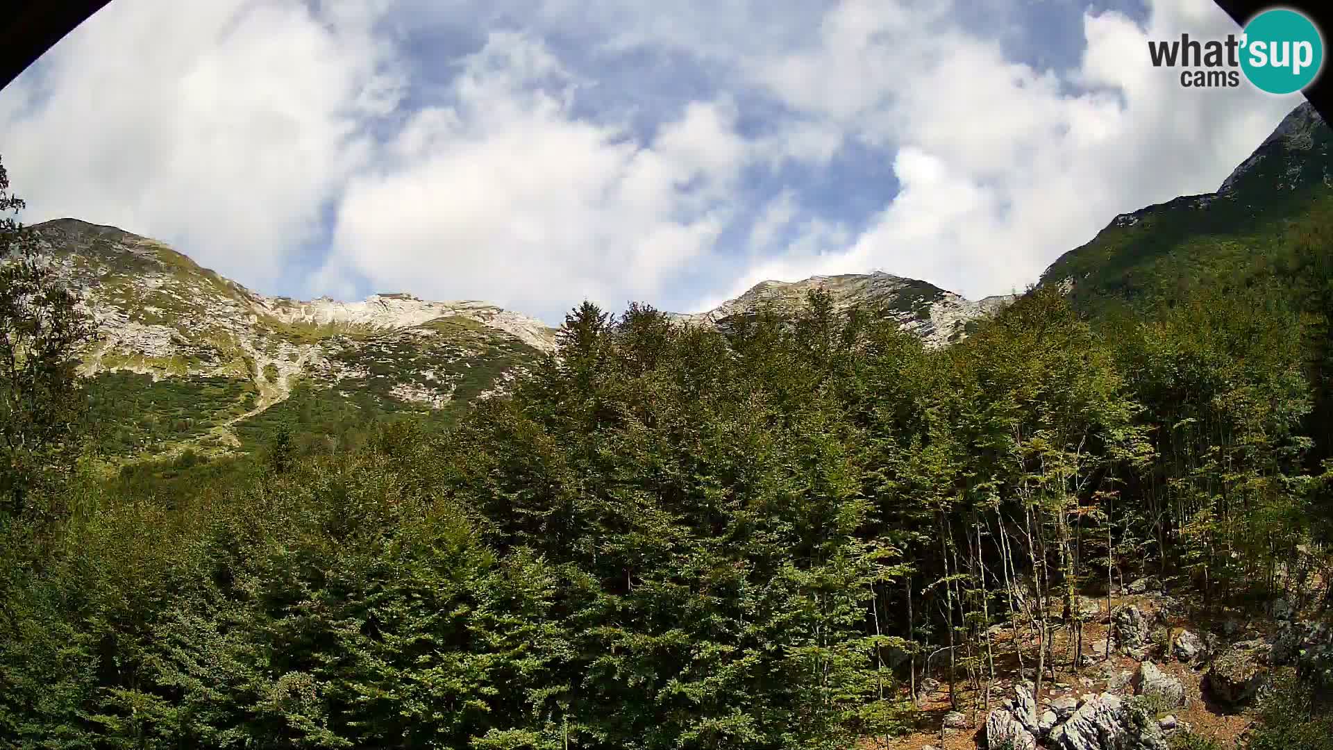 PLANINA RAZOR Live Cam (1315) | vista su Vogel e Globoko